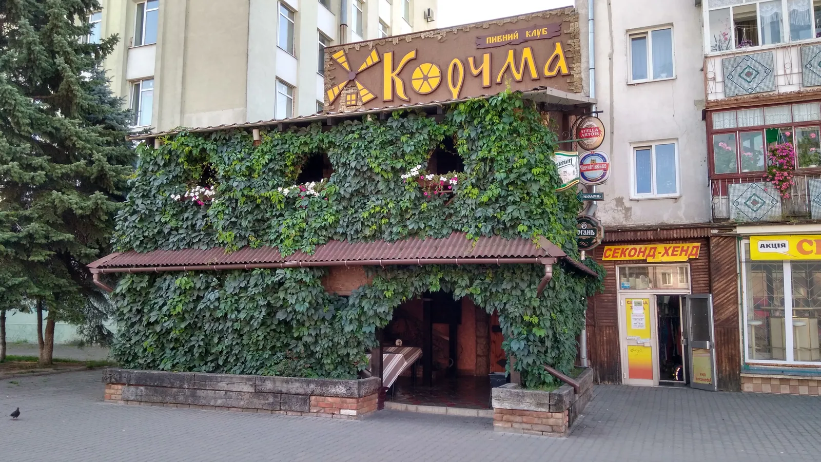 Korchma image 13
