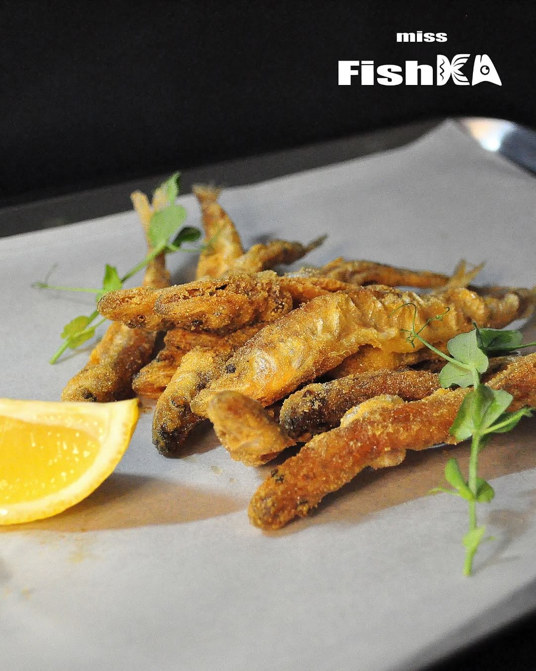 miss Fishka image 18