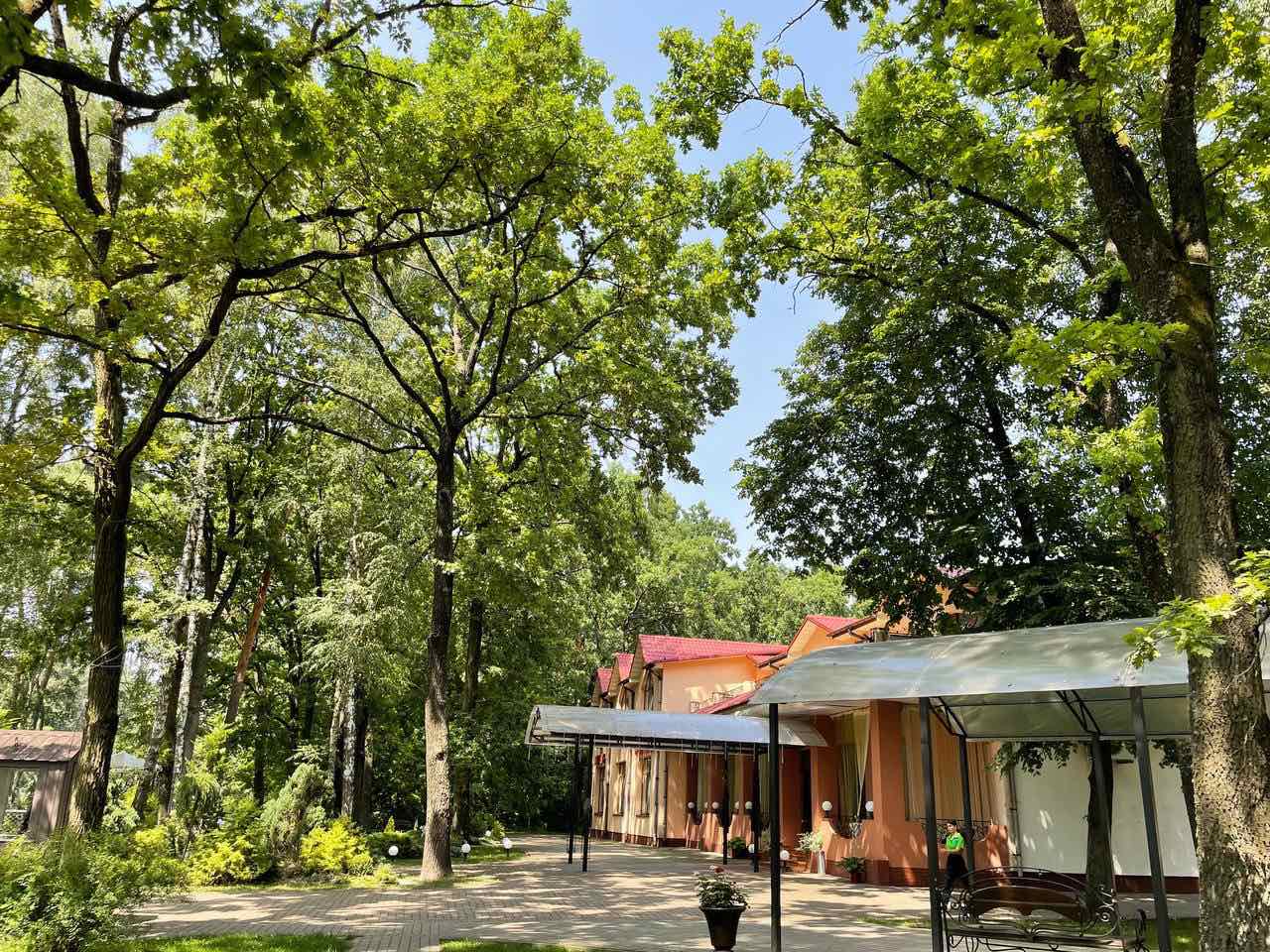 Zelenyi Gai image 15