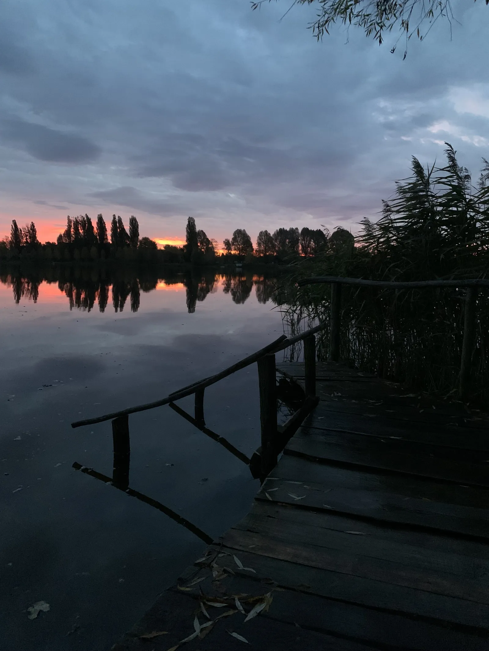 ТУРІЯ, РЕСТОРАН image 9