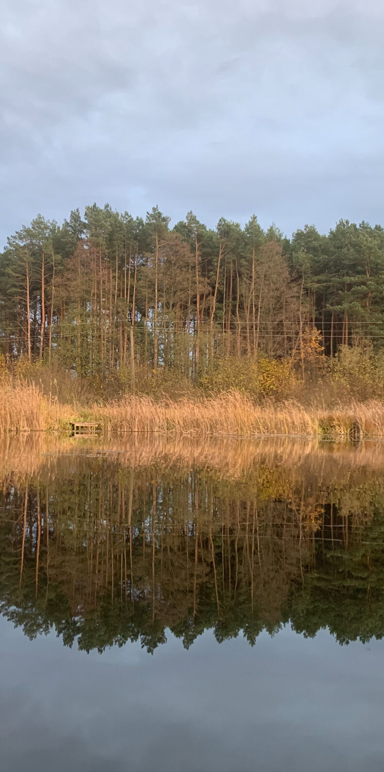 ТУРІЯ, РЕСТОРАН image 12