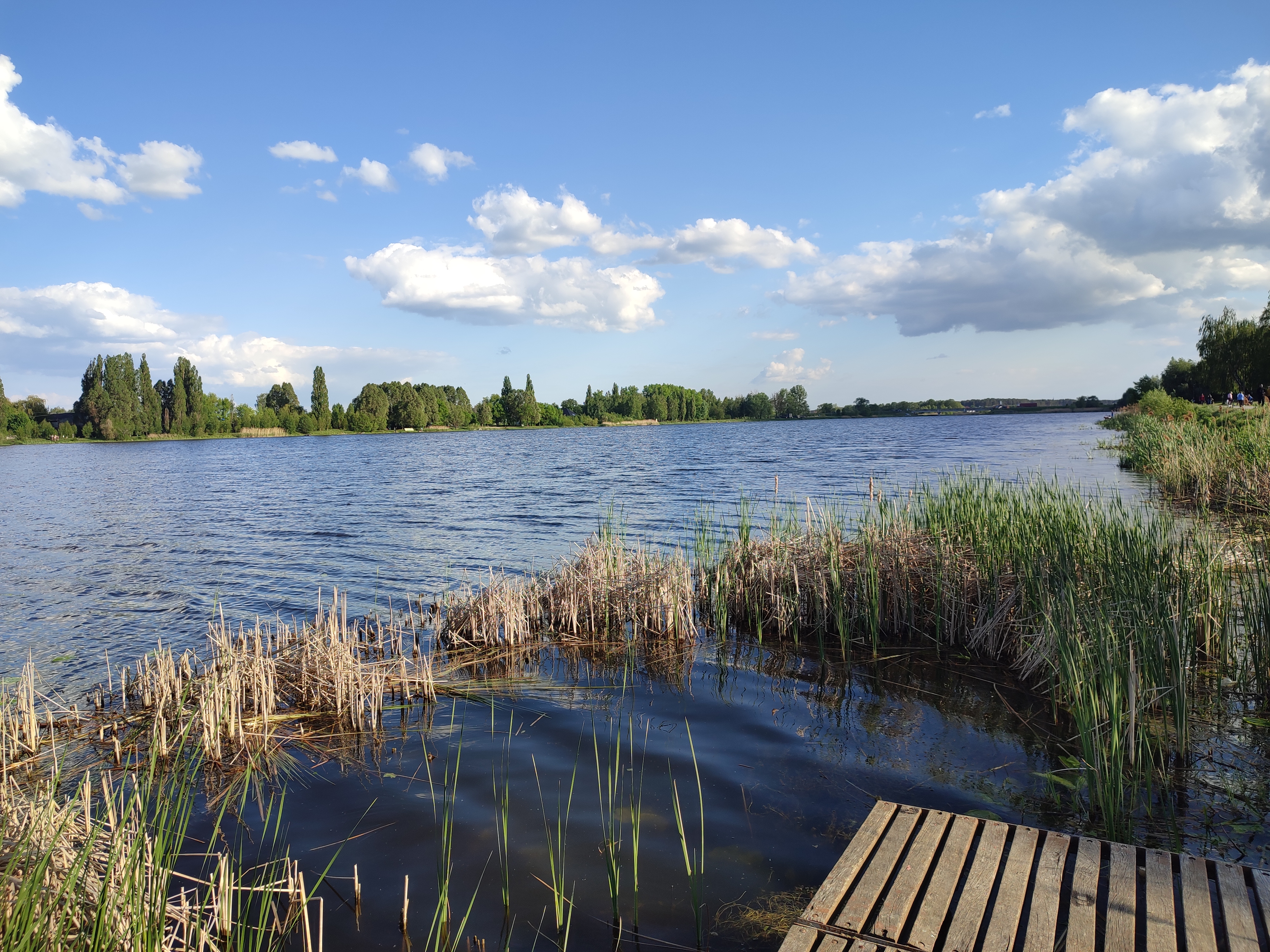 ТУРІЯ, РЕСТОРАН image 13