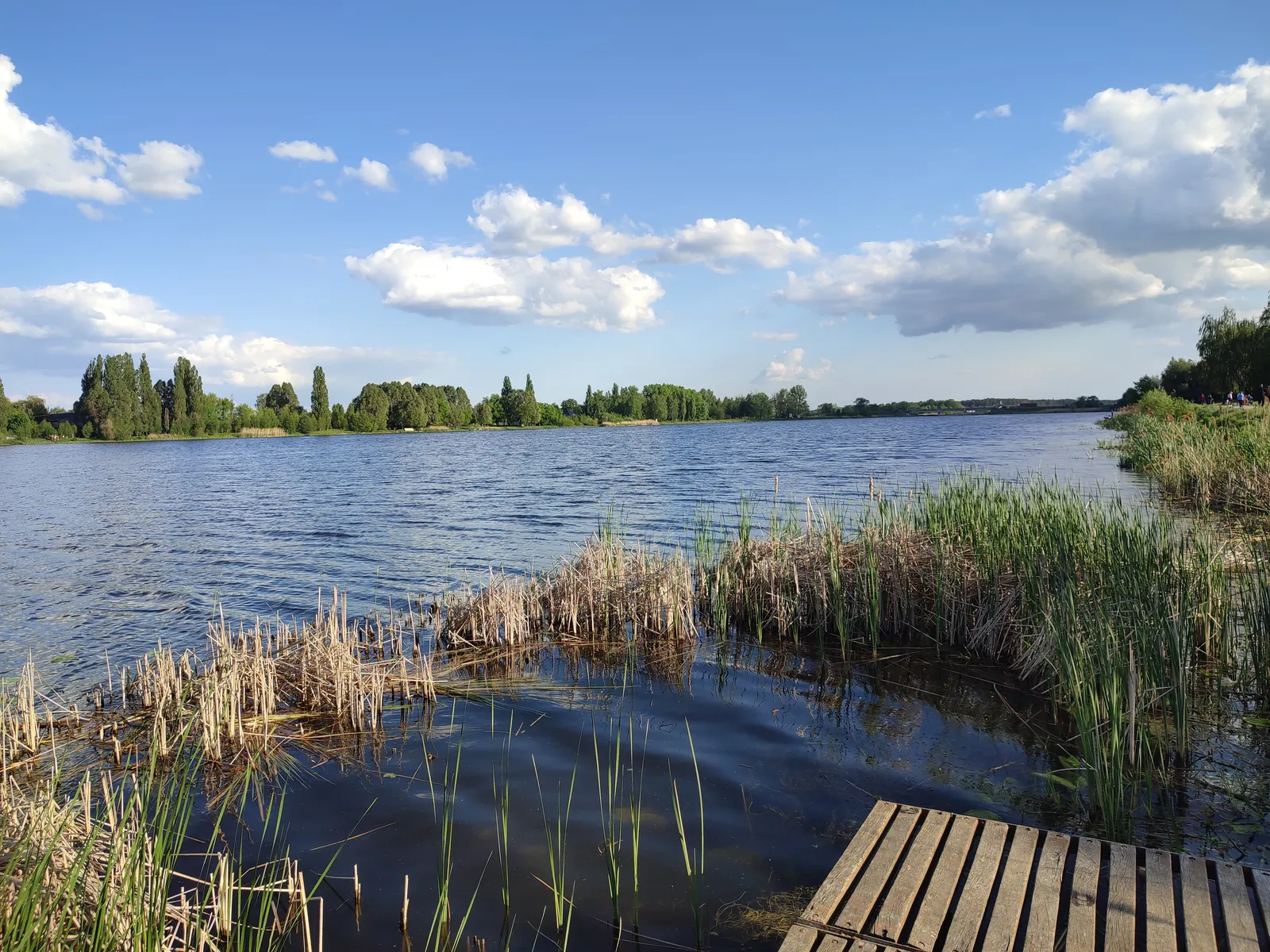 ТУРІЯ, РЕСТОРАН image 13