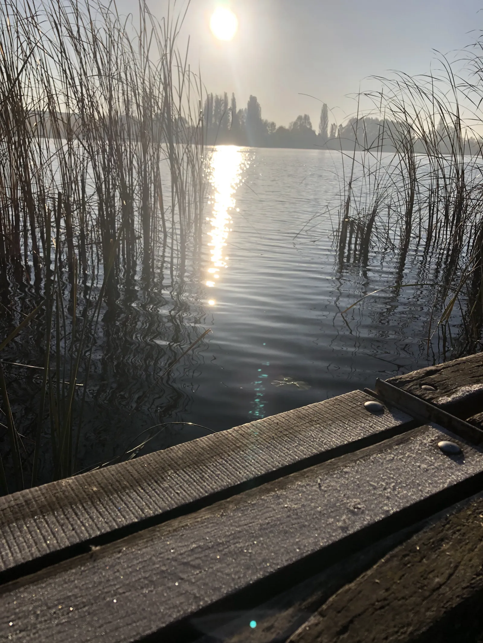 ТУРІЯ, РЕСТОРАН image 14