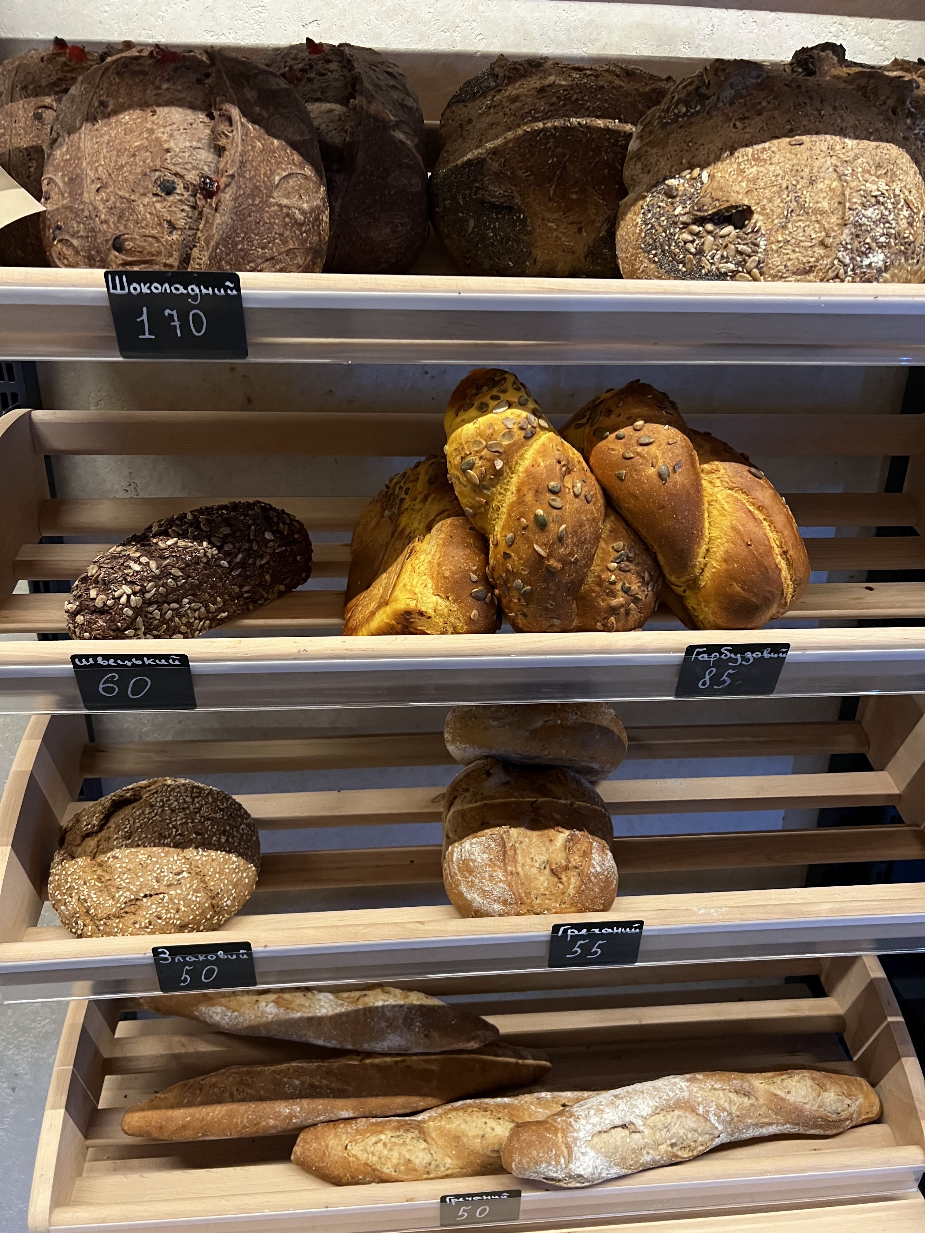 Zhyto Hastrodim image 17