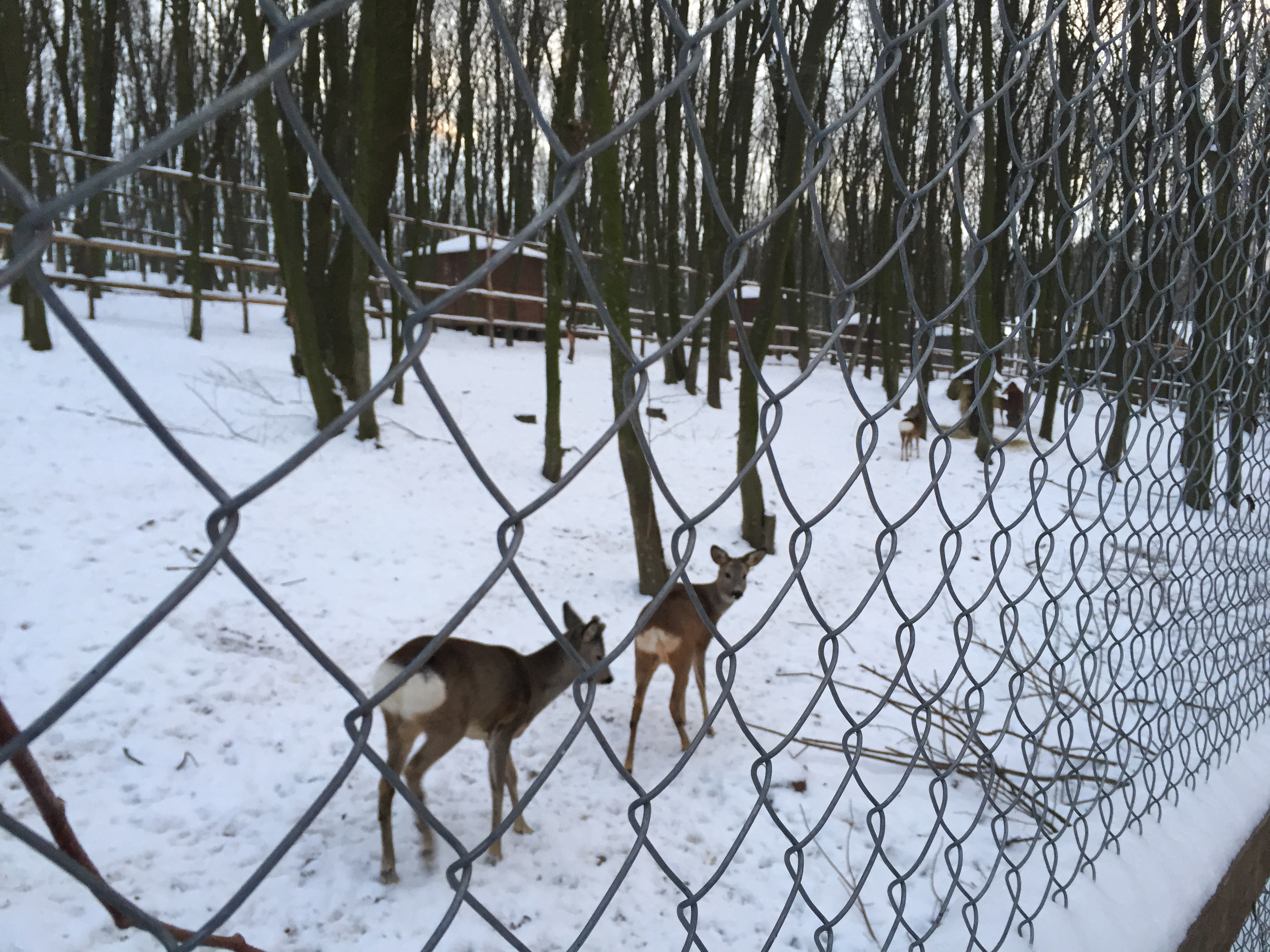 Kalyna Restorannyy Kompleks image 20