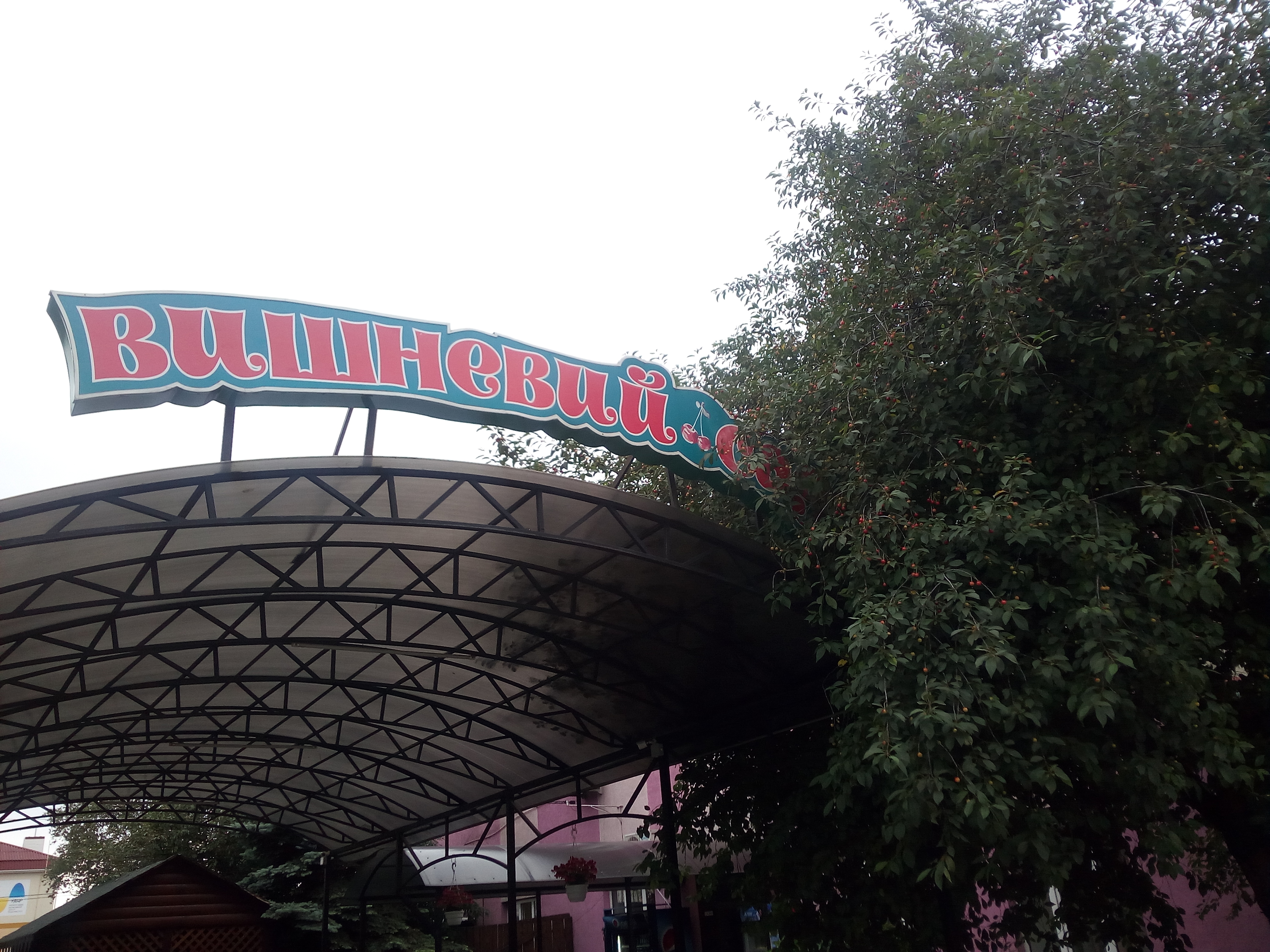 Vyshnevyy Sad image 7