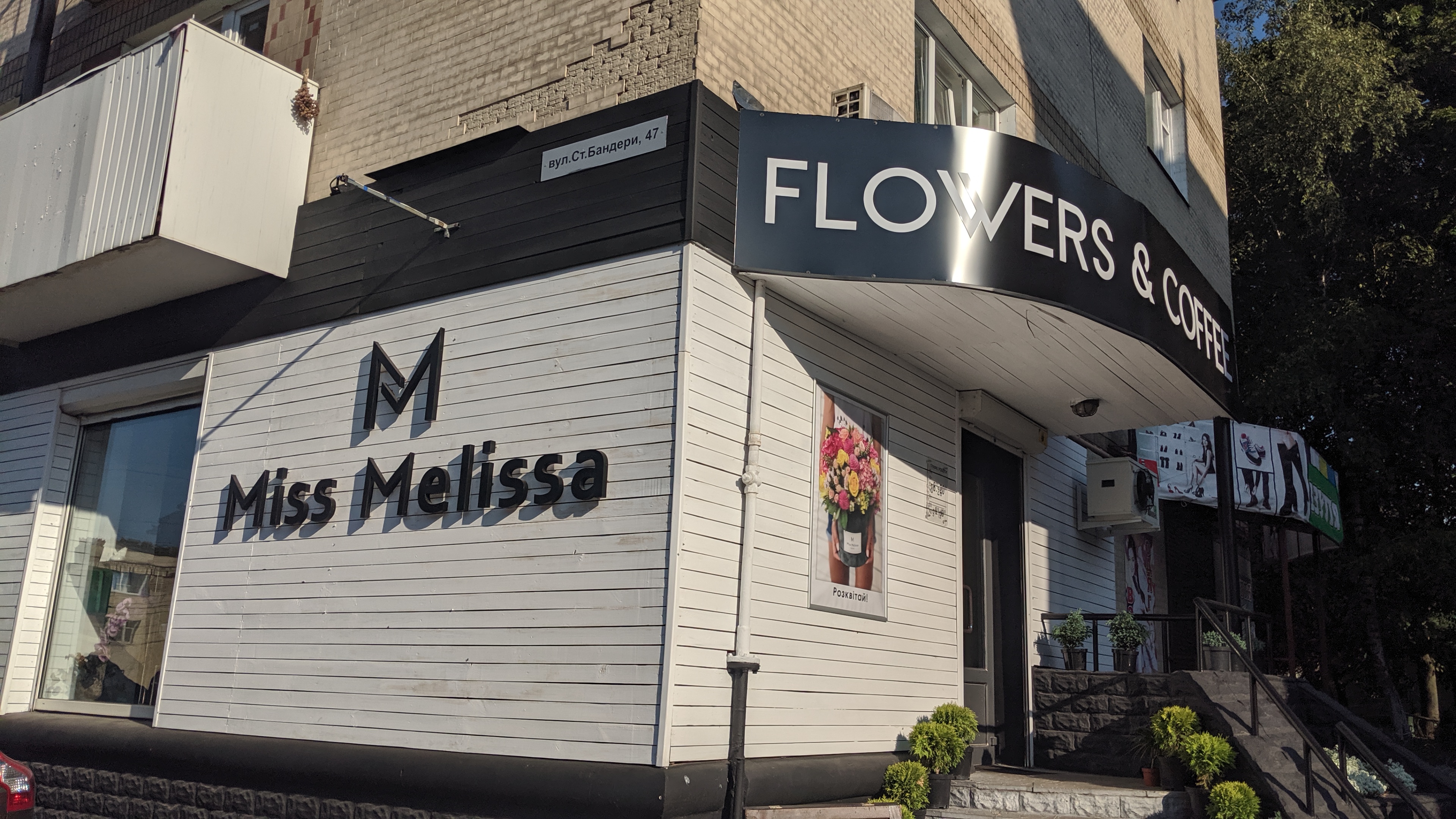 Miss Melissa image 9