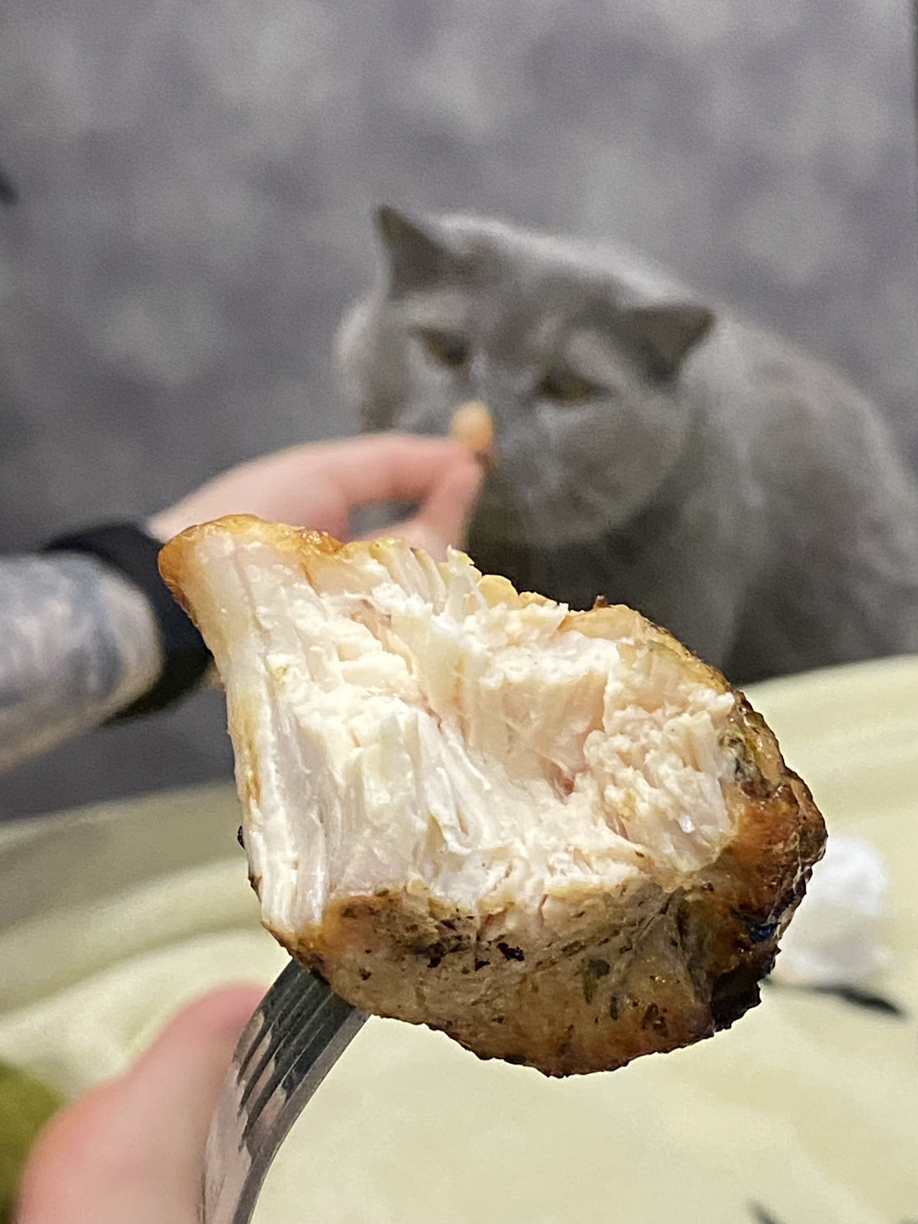 Pollo Кури Гриль на дровах image 4