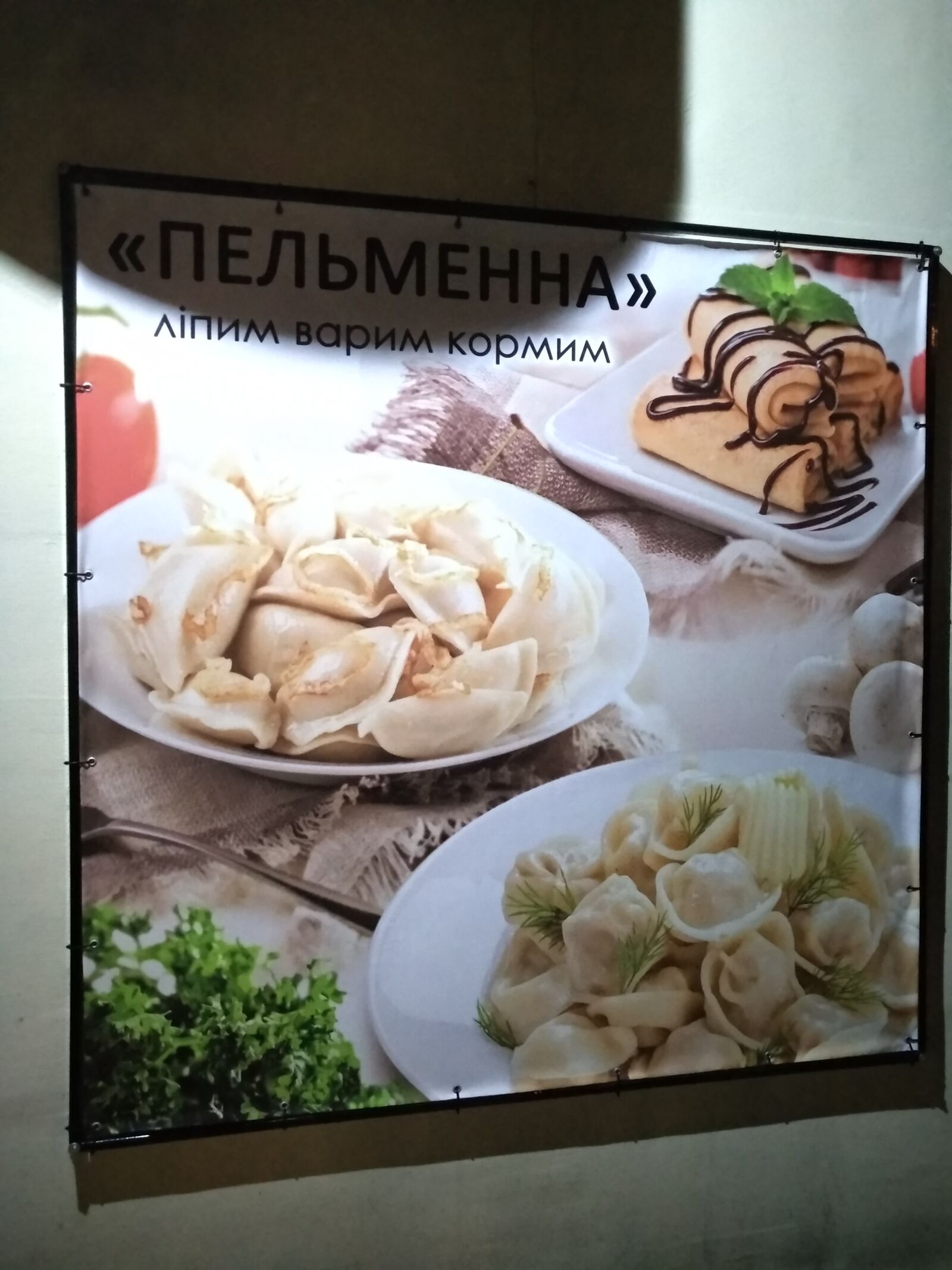 MOMO image 9