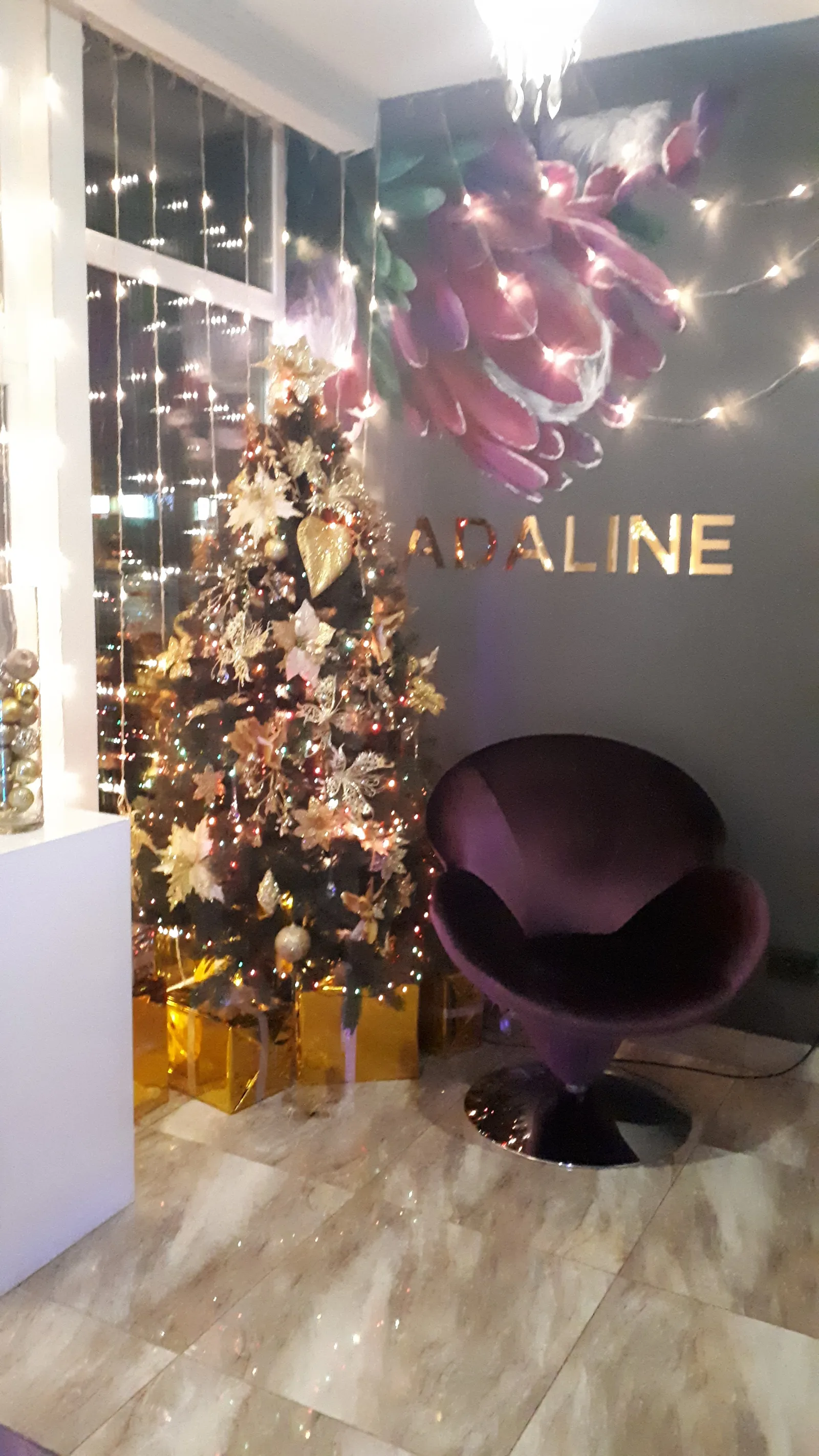 Adaline image 19