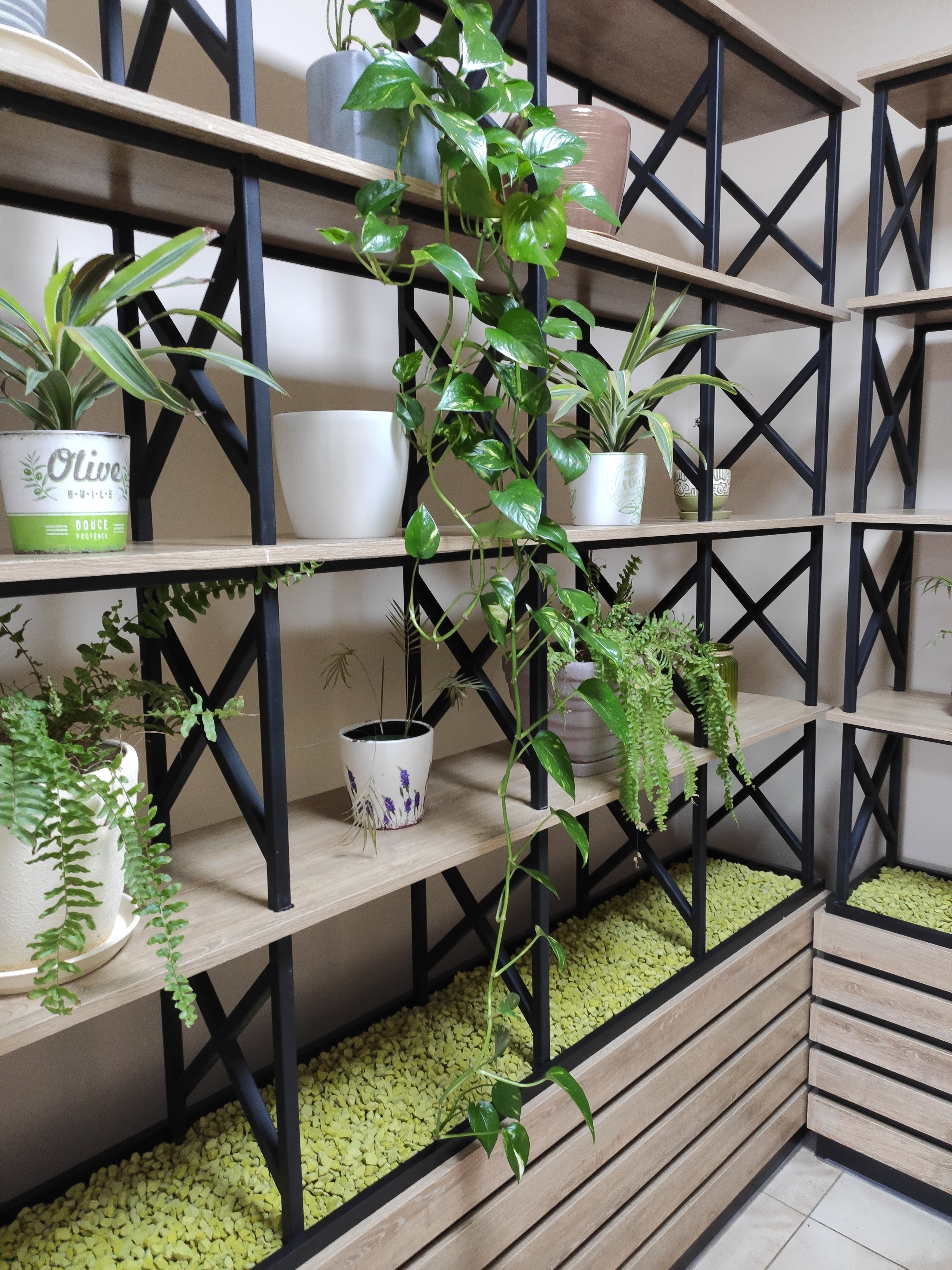 Shchedryy Stil image 1