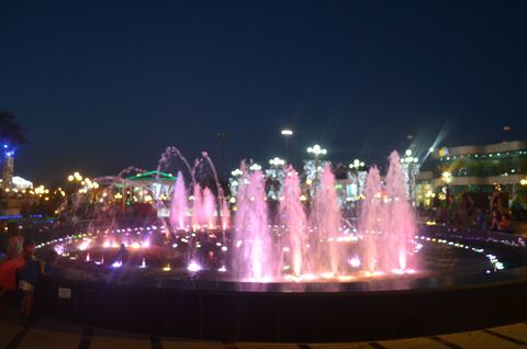 Beerloga image 7