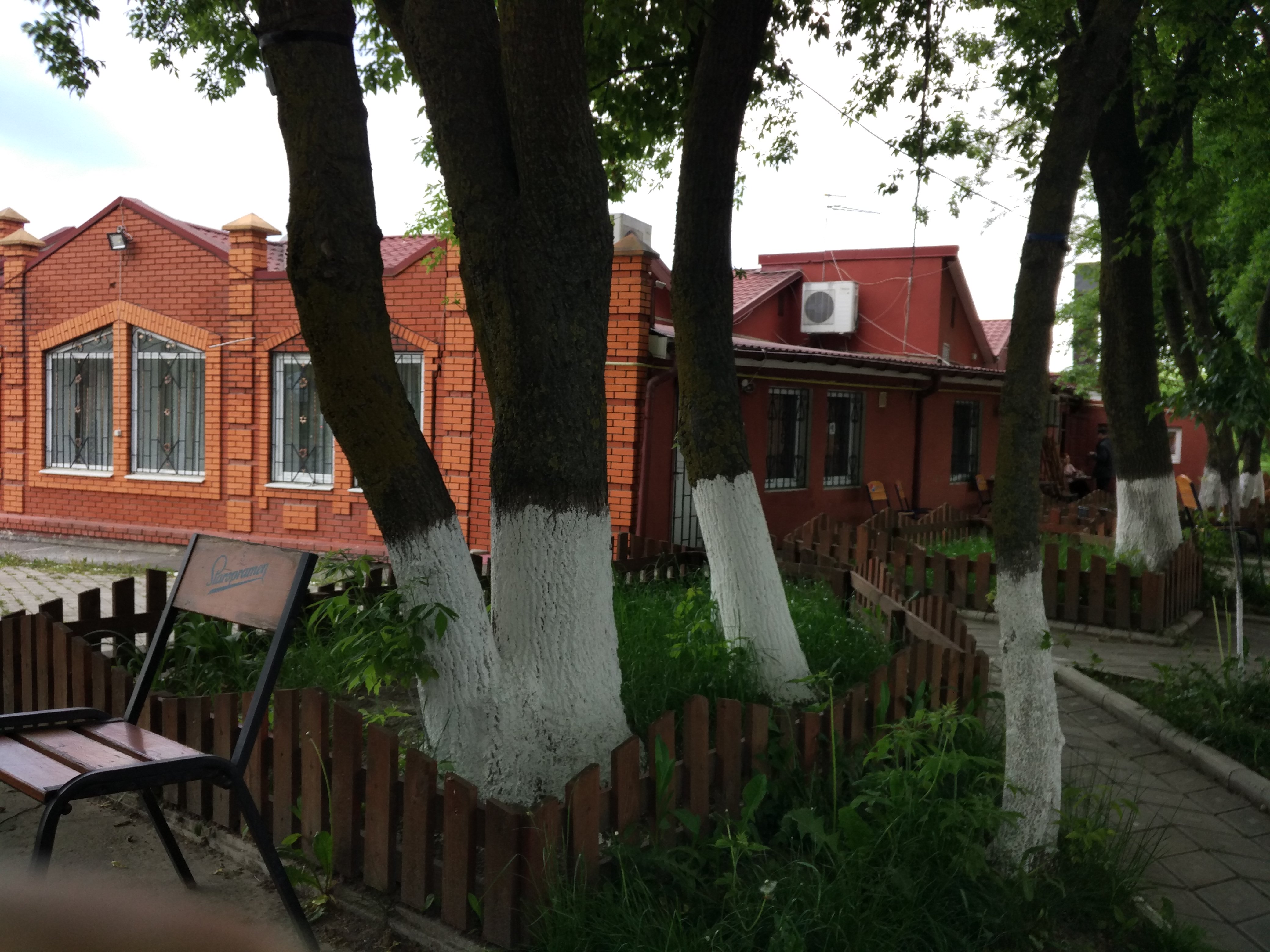 Paradise Garden image 18