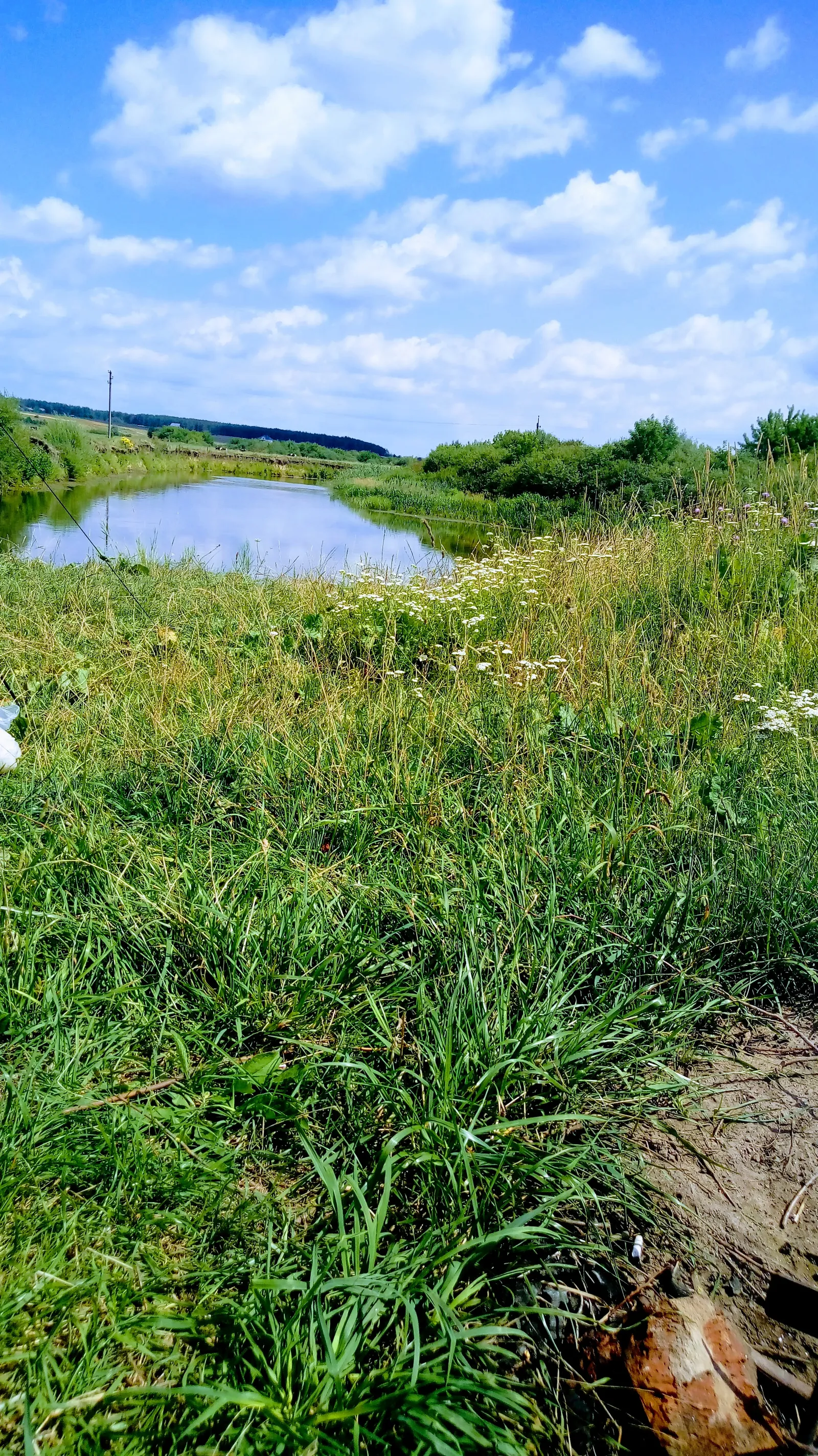 Oleksandriia image 15