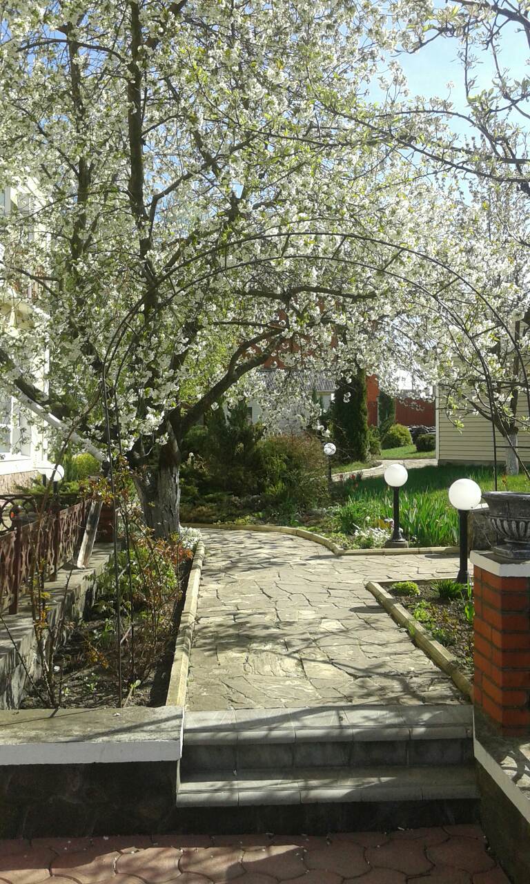 Hotelʹ-Restoran-Sauna Spokusa image 12