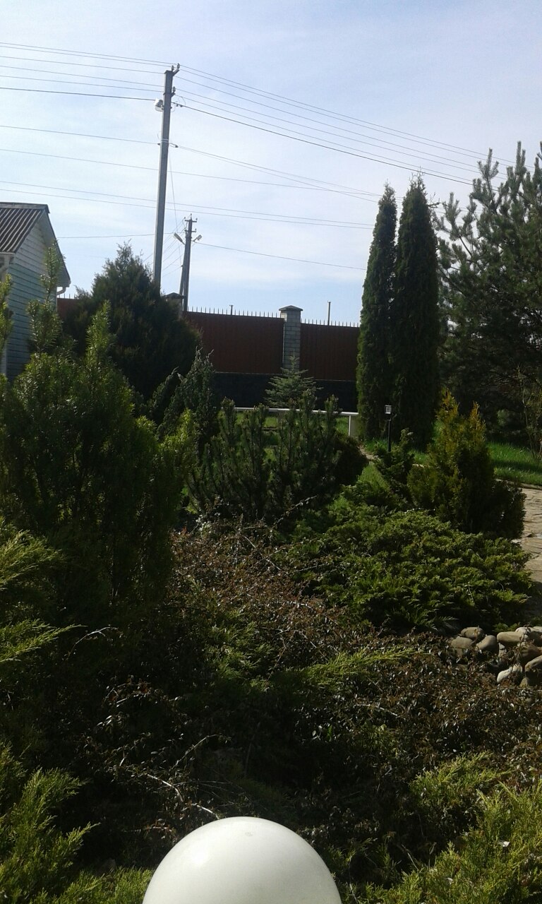 Hotelʹ-Restoran-Sauna Spokusa image 15