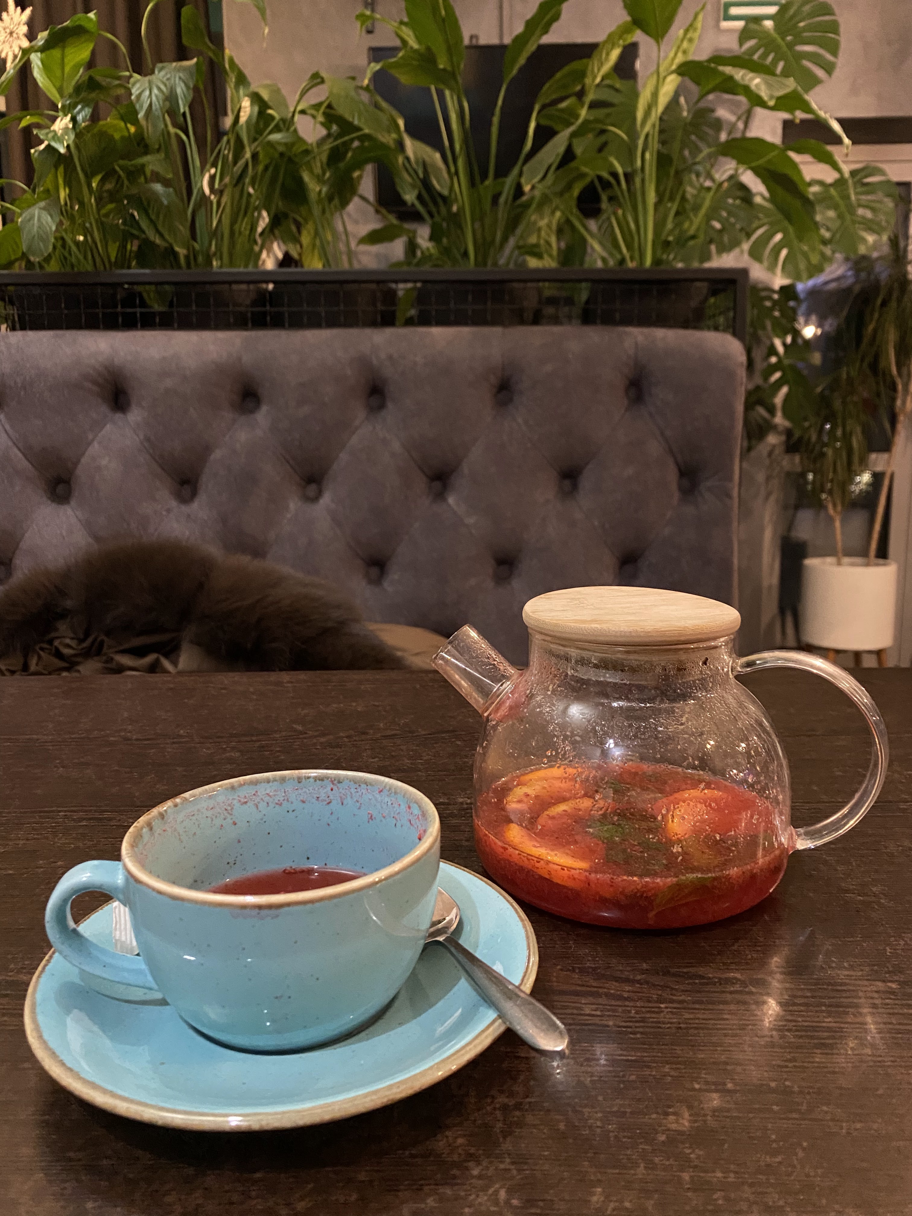 Ведмідь BALU image 2