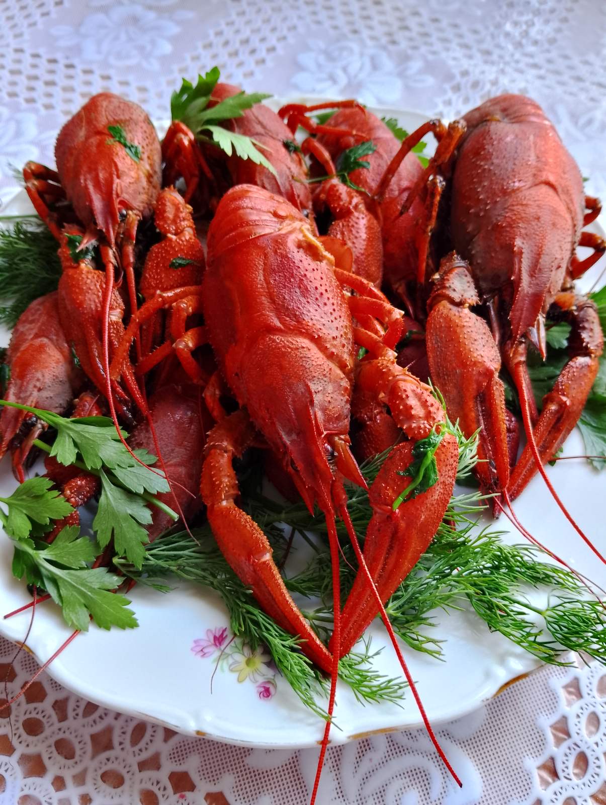 Charivnytsya image 16