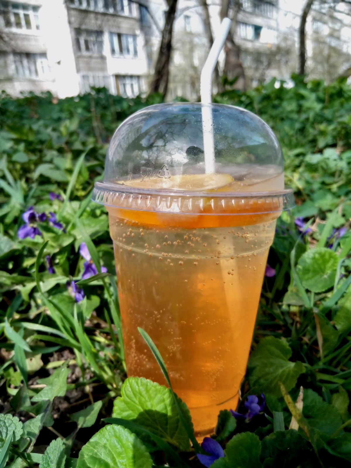 Hot Dog HOUSE image 15