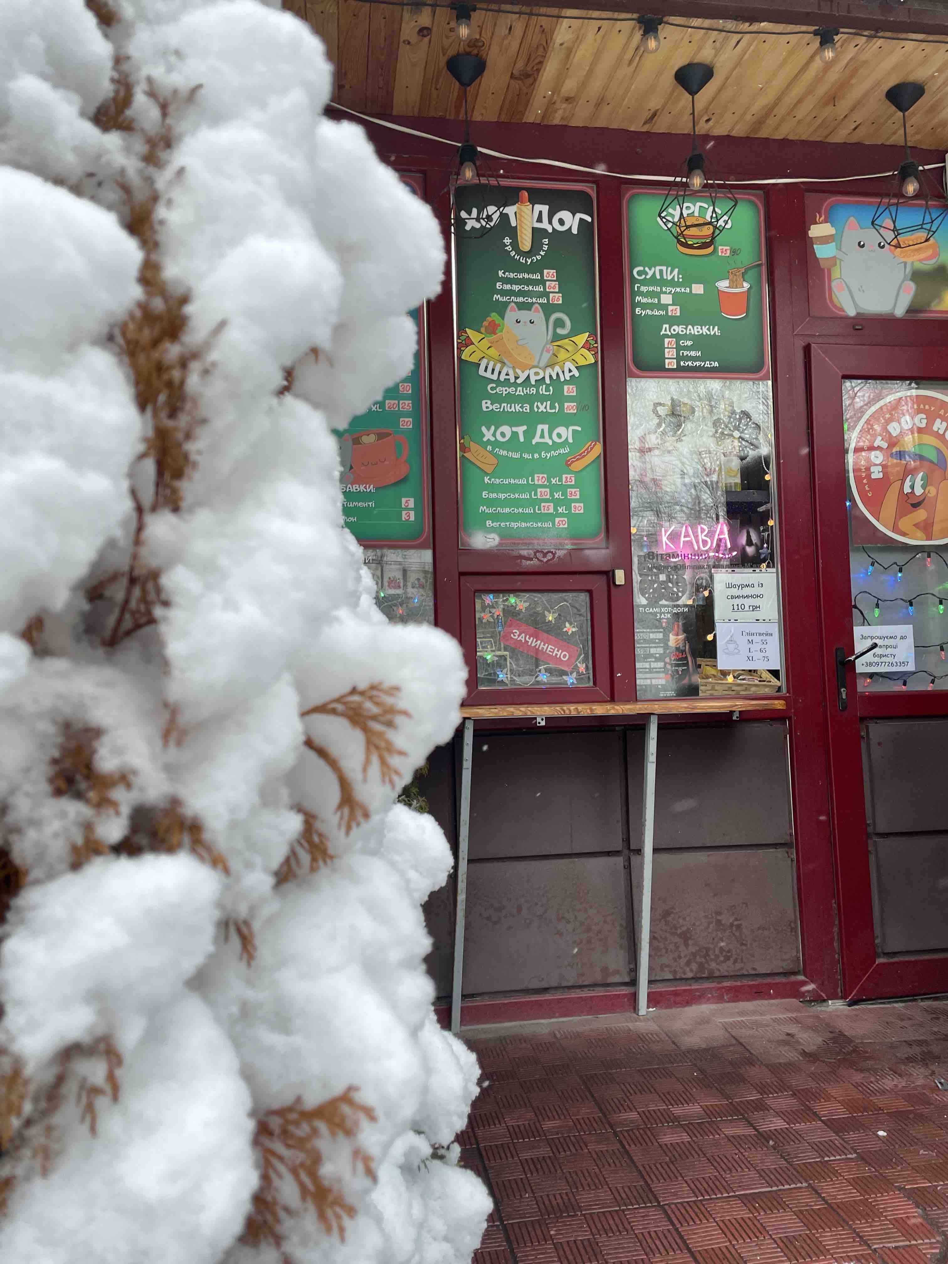 Hot Dog HOUSE image 16