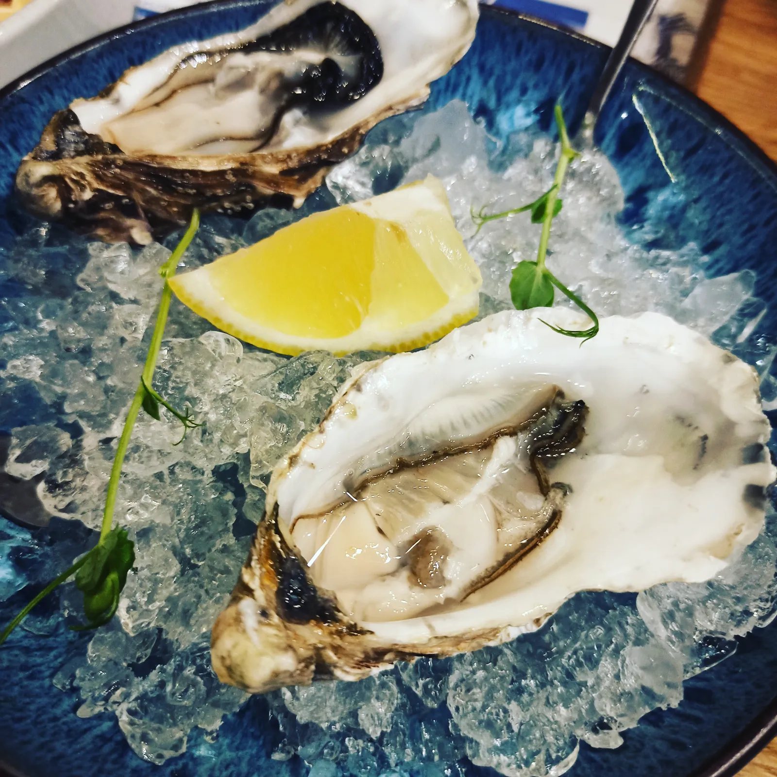 Fishbar image 16