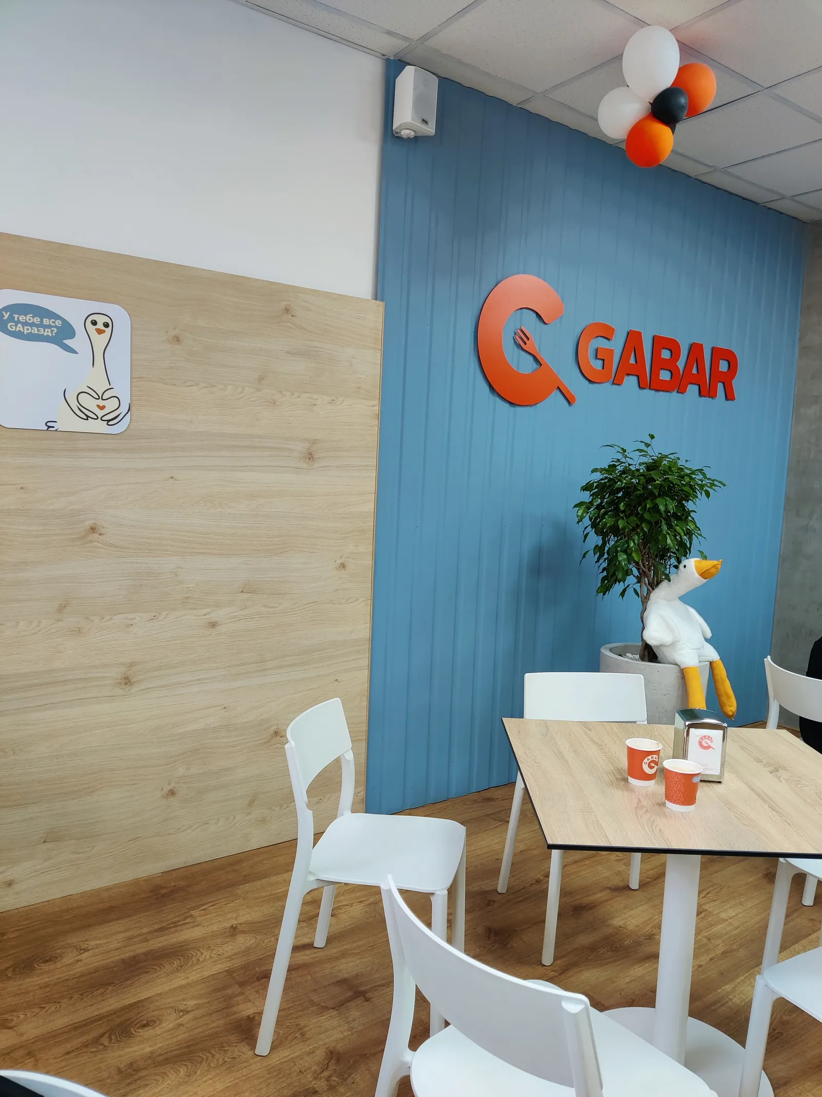 Gabar image 10