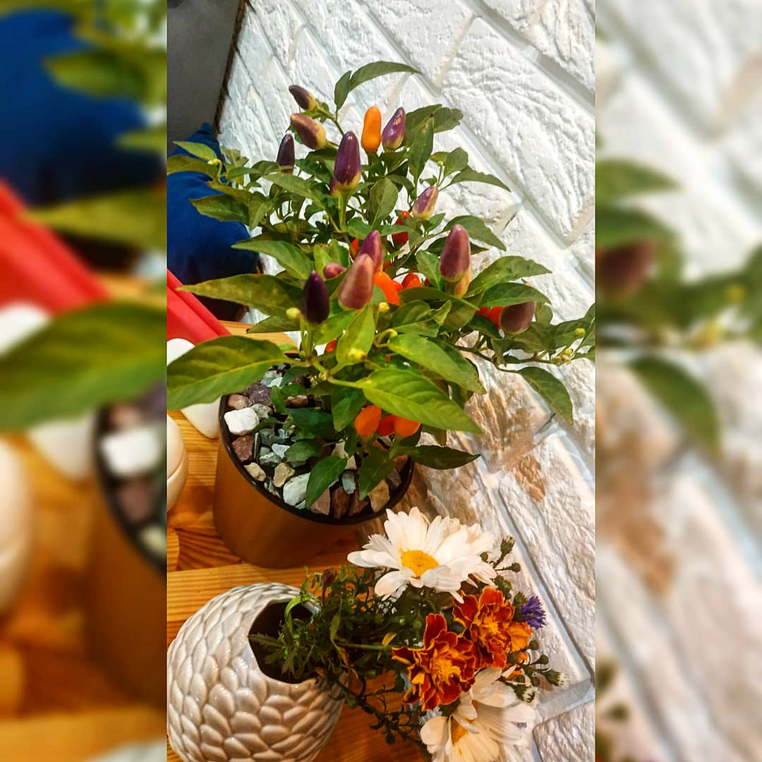 Кав’ярня-пекарня image 14