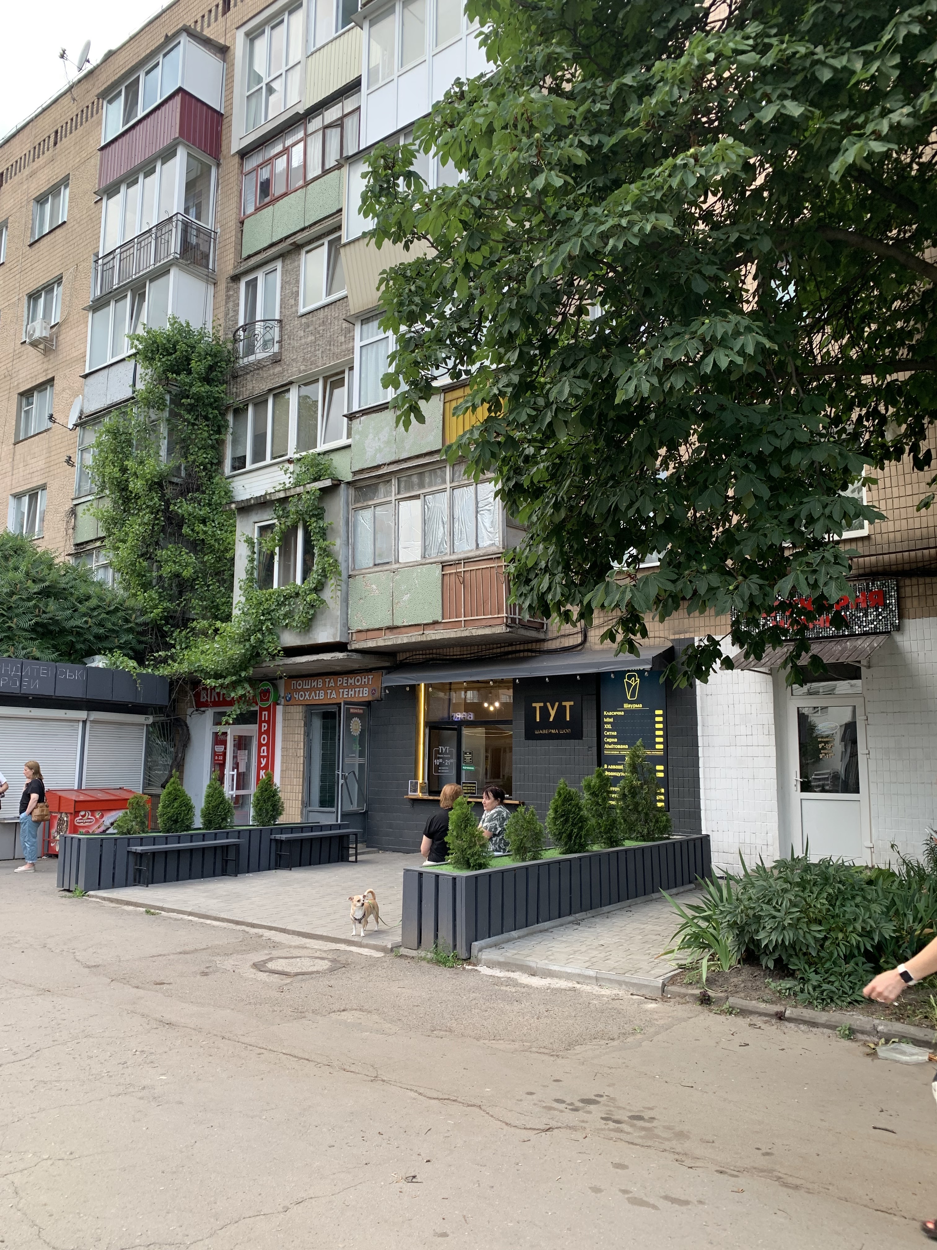 Tut Shaverma Shop image 15