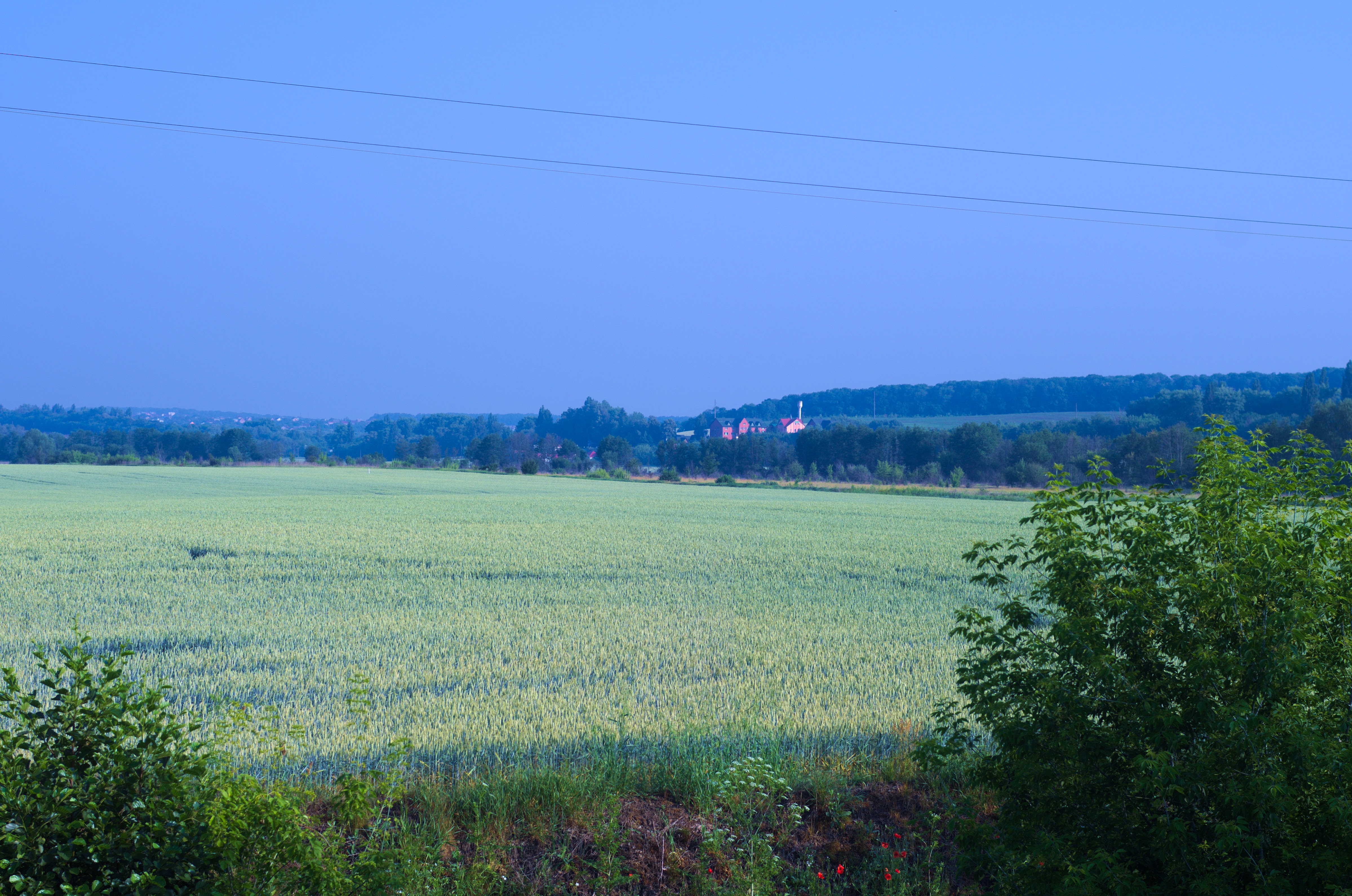 Rio Hotelʹno-Restorannyy Kompleks image 14