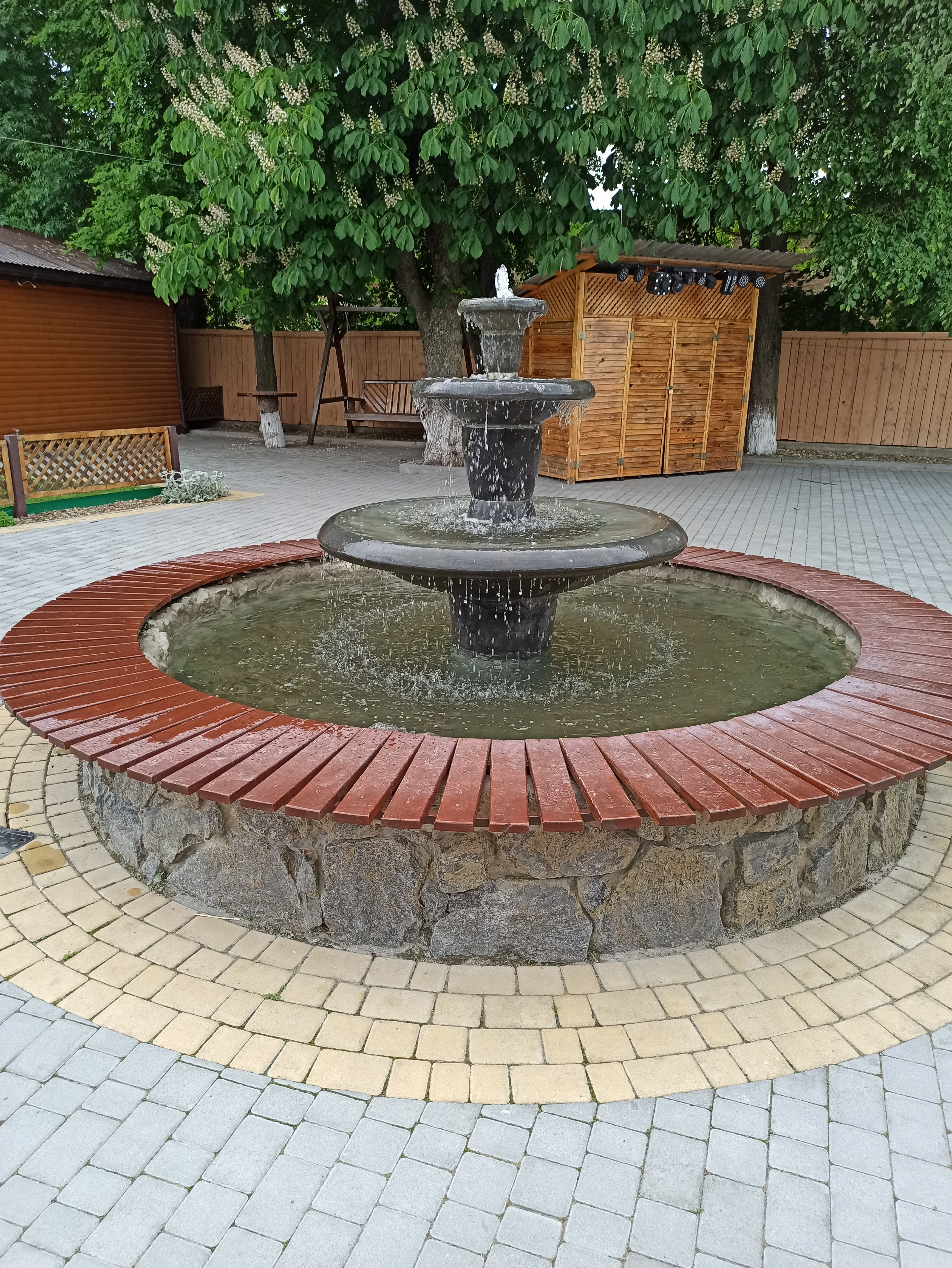 Hostynnyy Dvir image 16