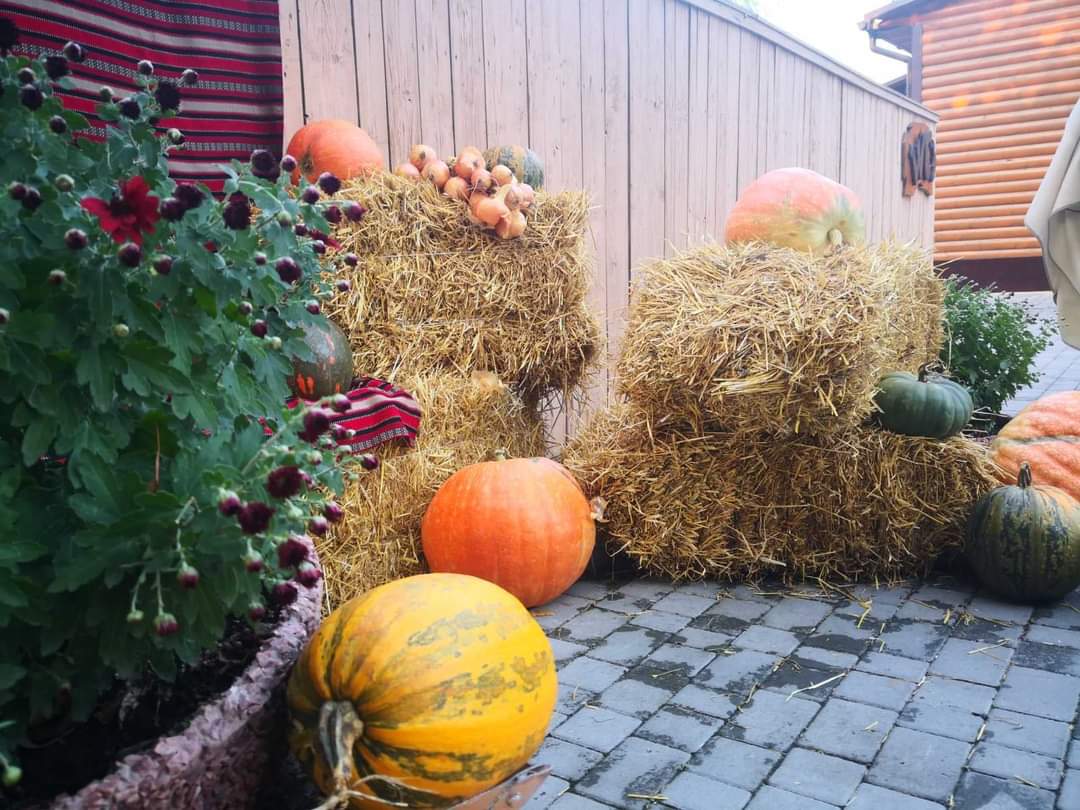 Hostynnyy Dvir image 19