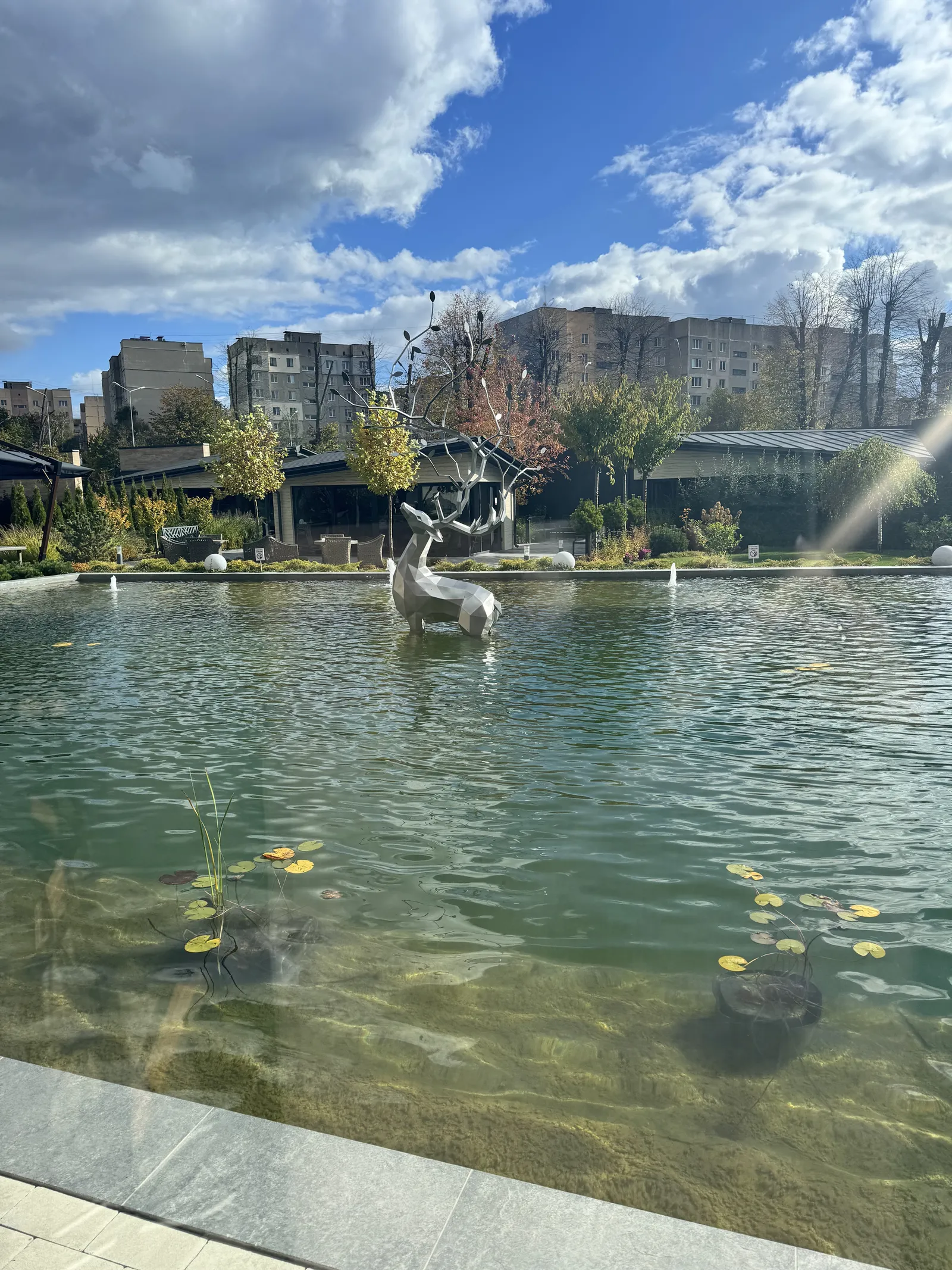 Oasis image 19