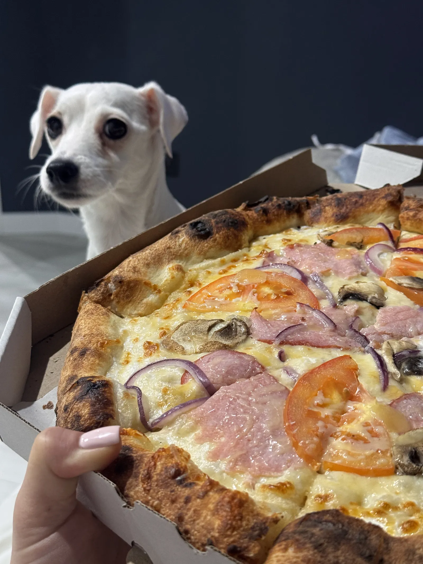 My Food image 13