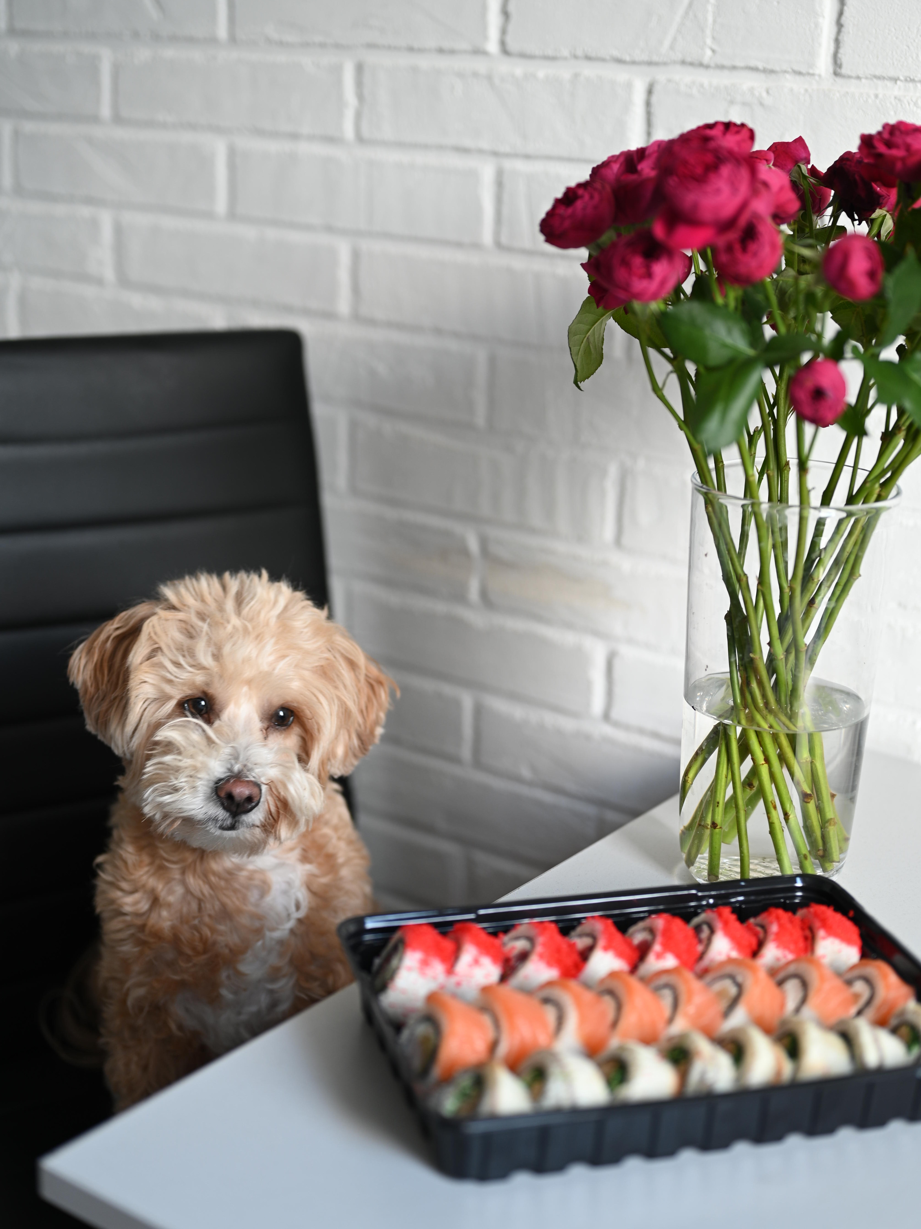 Sushi Kit Vinnytsia image 17