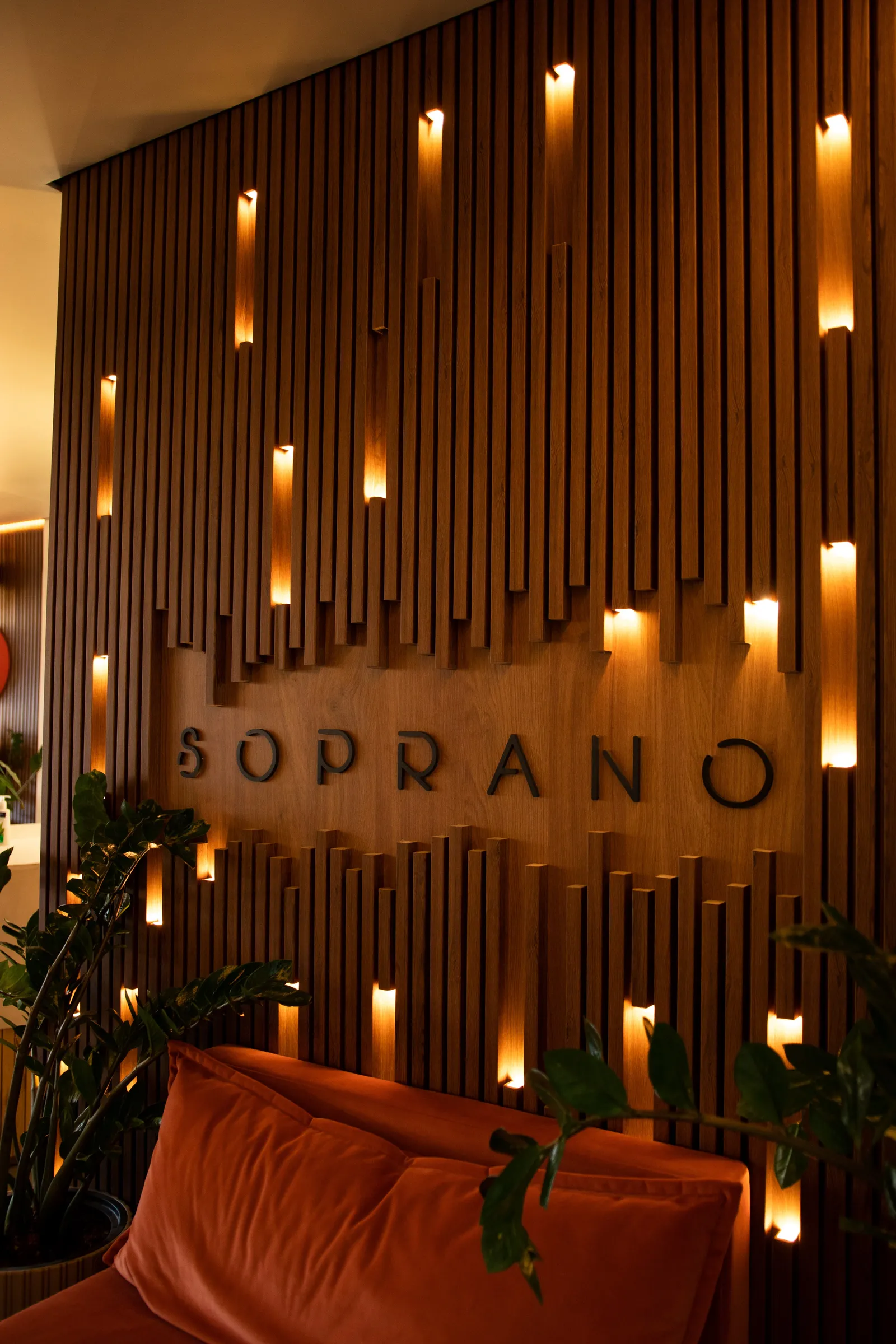 Soprano image 18