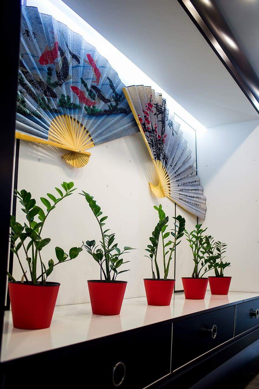 Mister Roll image 19