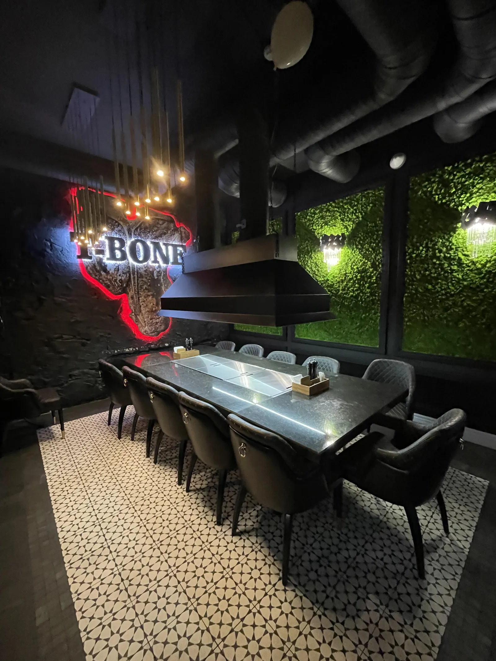 T-Bone image 17