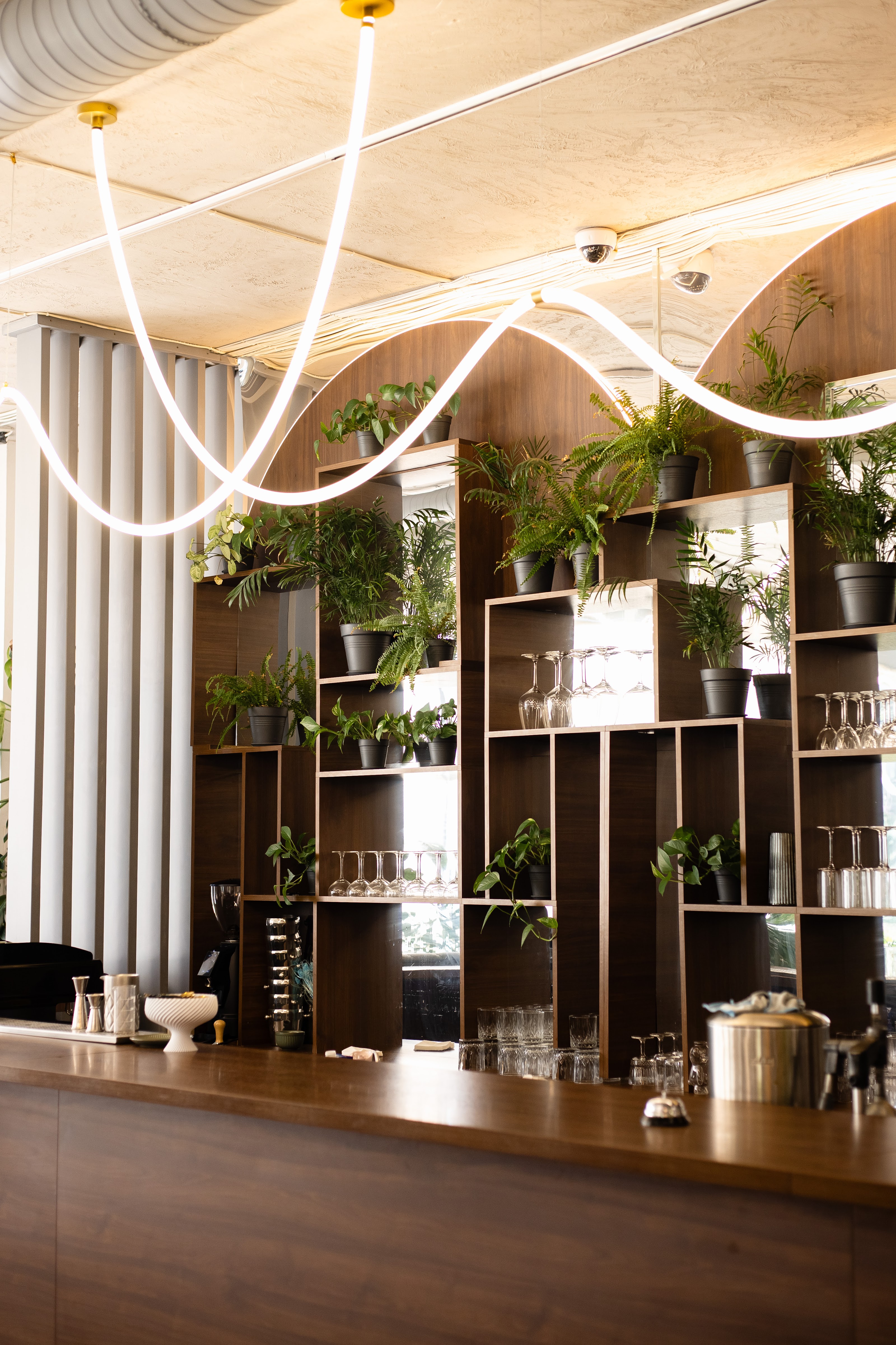 Family Garden image 15