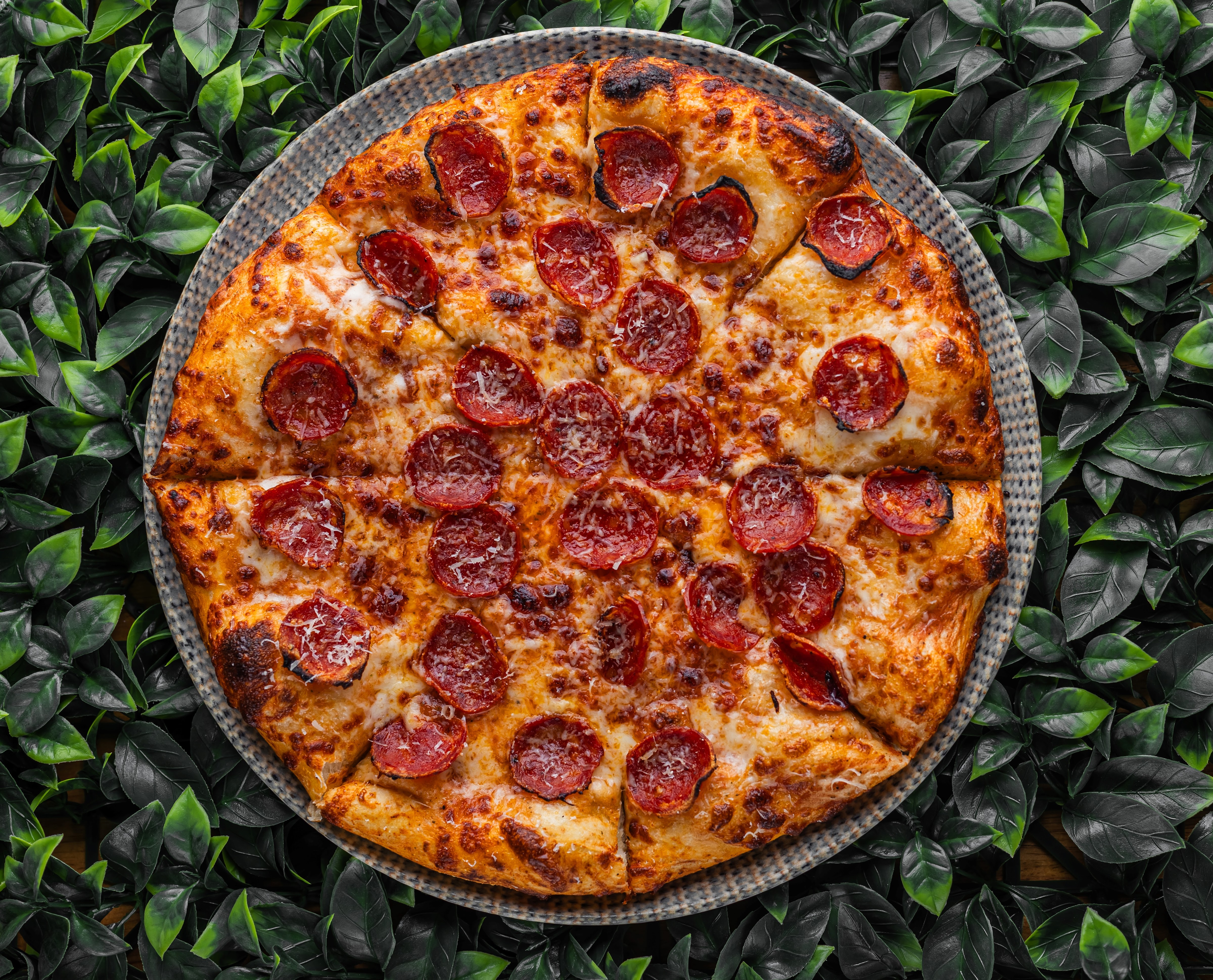 Family Garden image 17