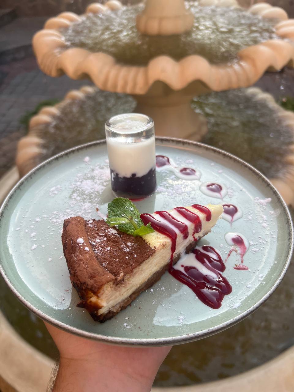 Vinnytsiana image 14