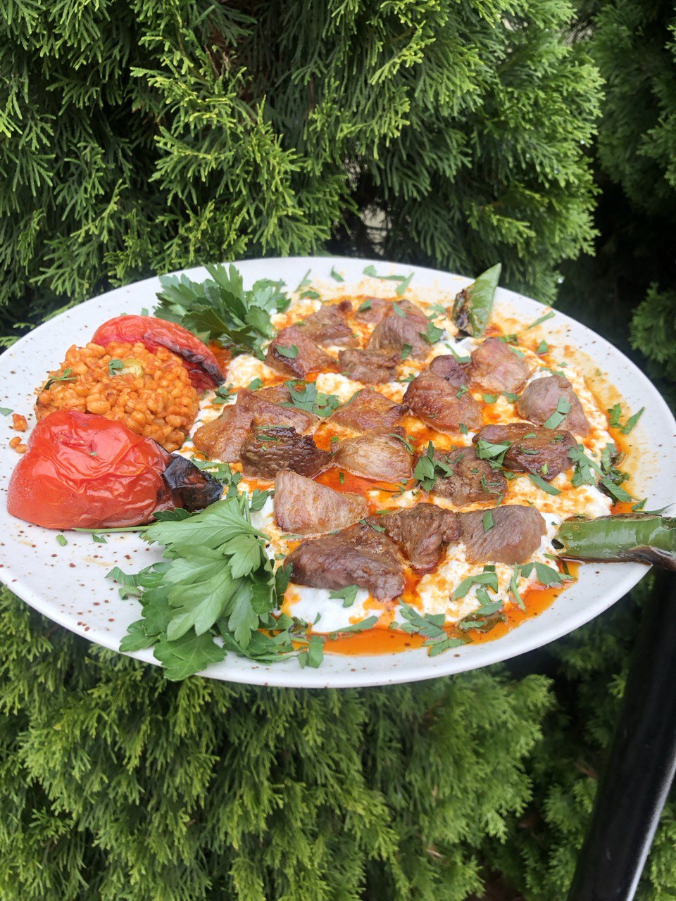 Turkish City Kebab House image 18