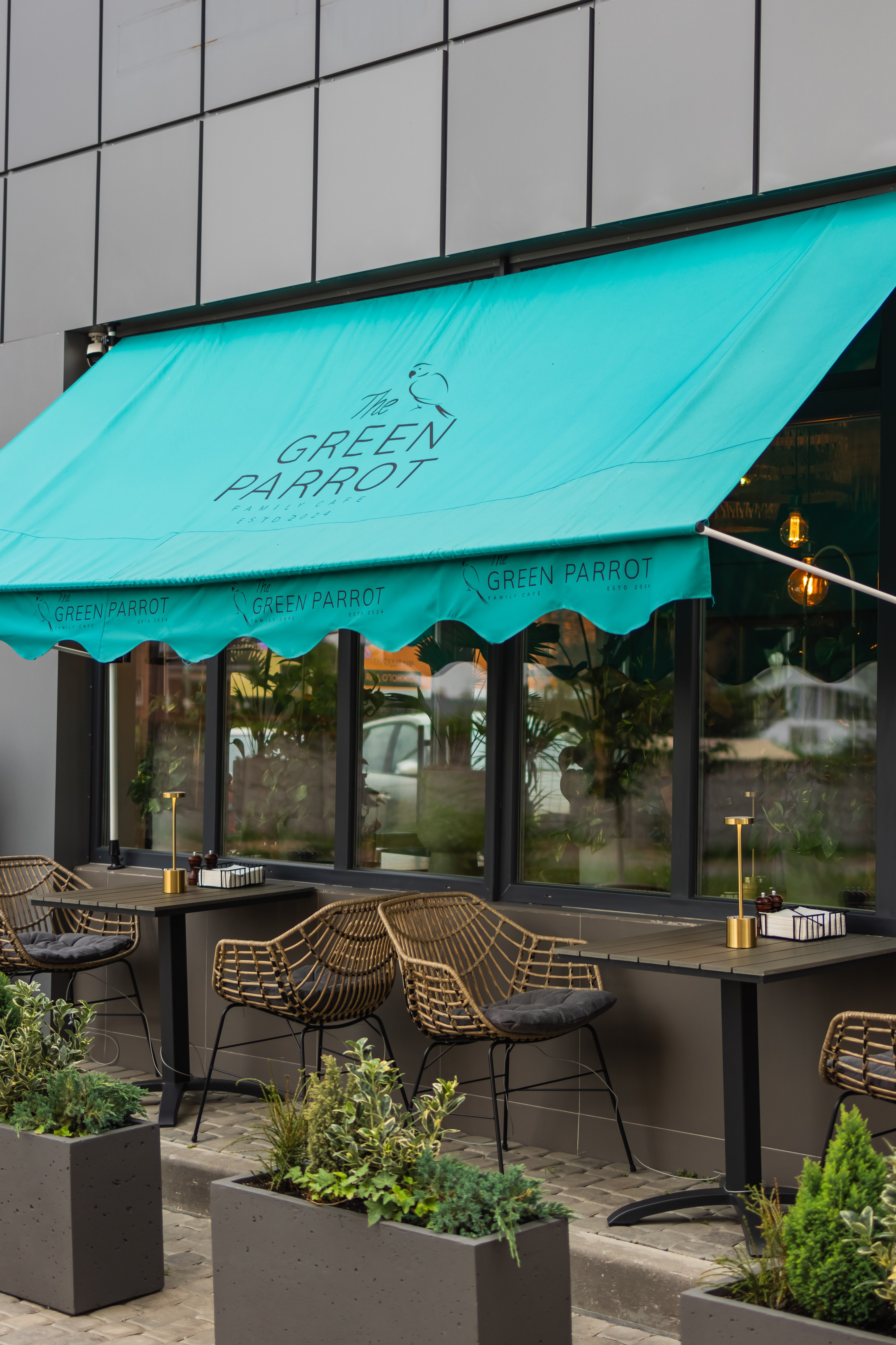 The Green Parrot image 17