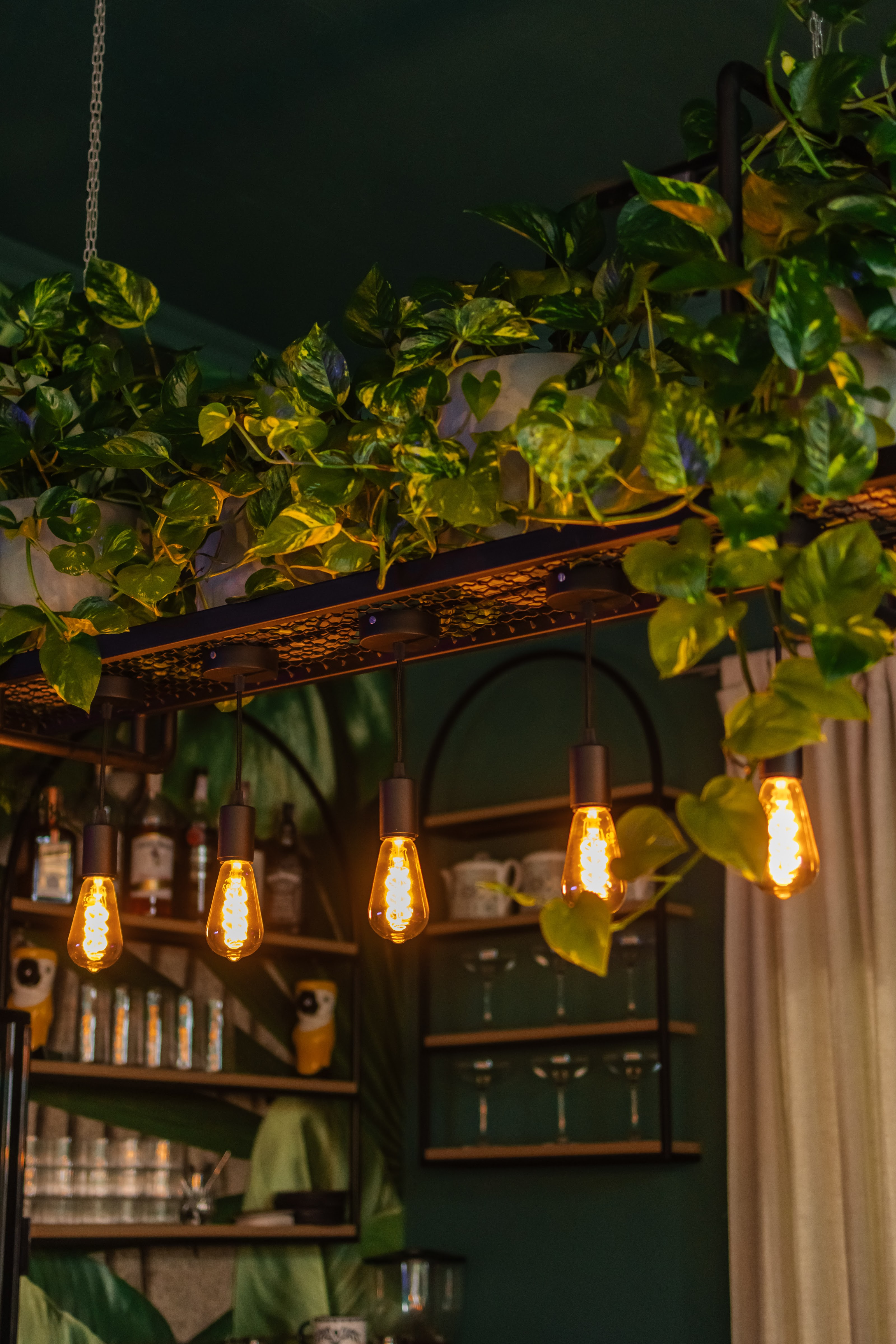 The Green Parrot image 20