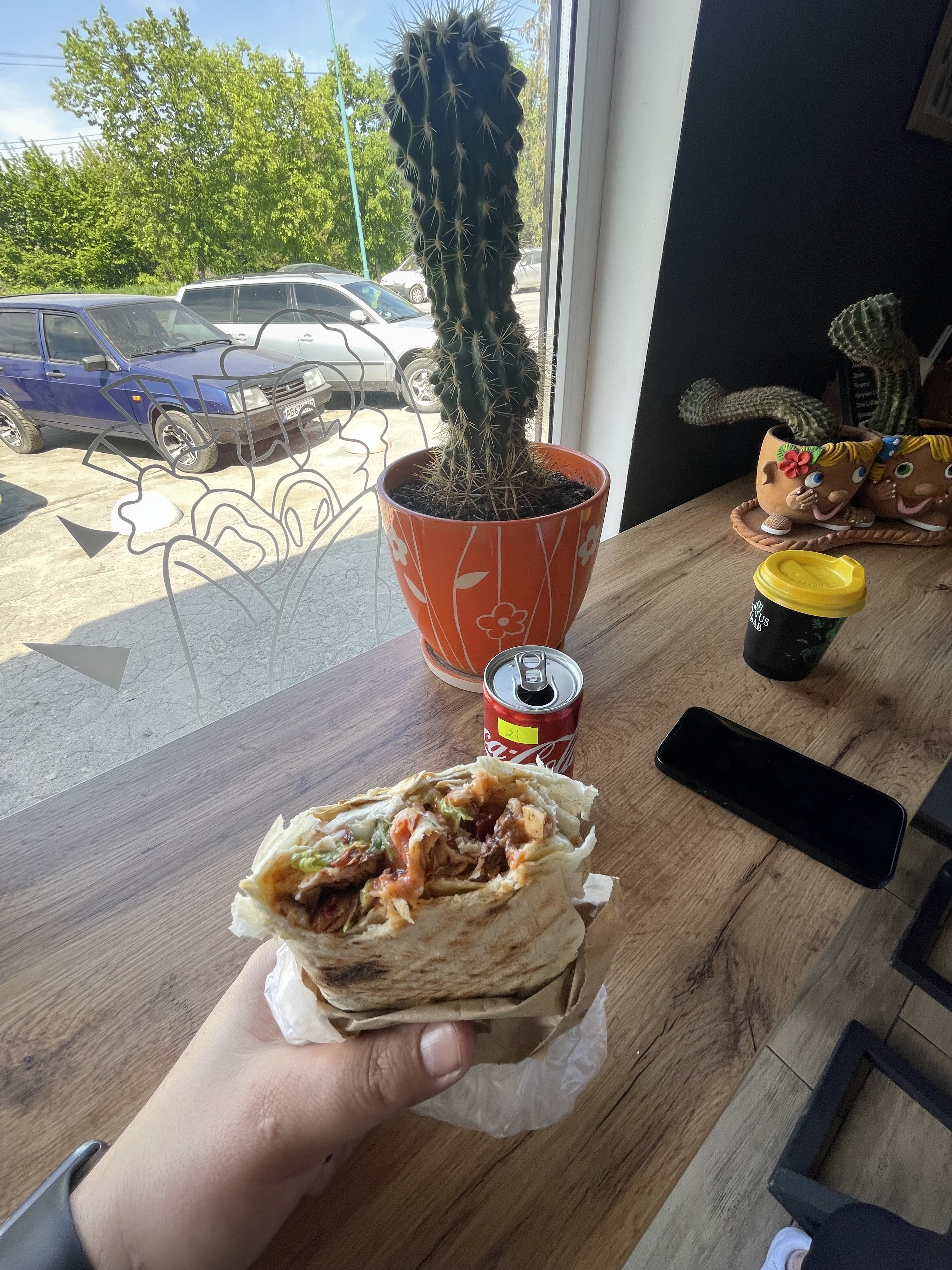 CactusKebab image 15