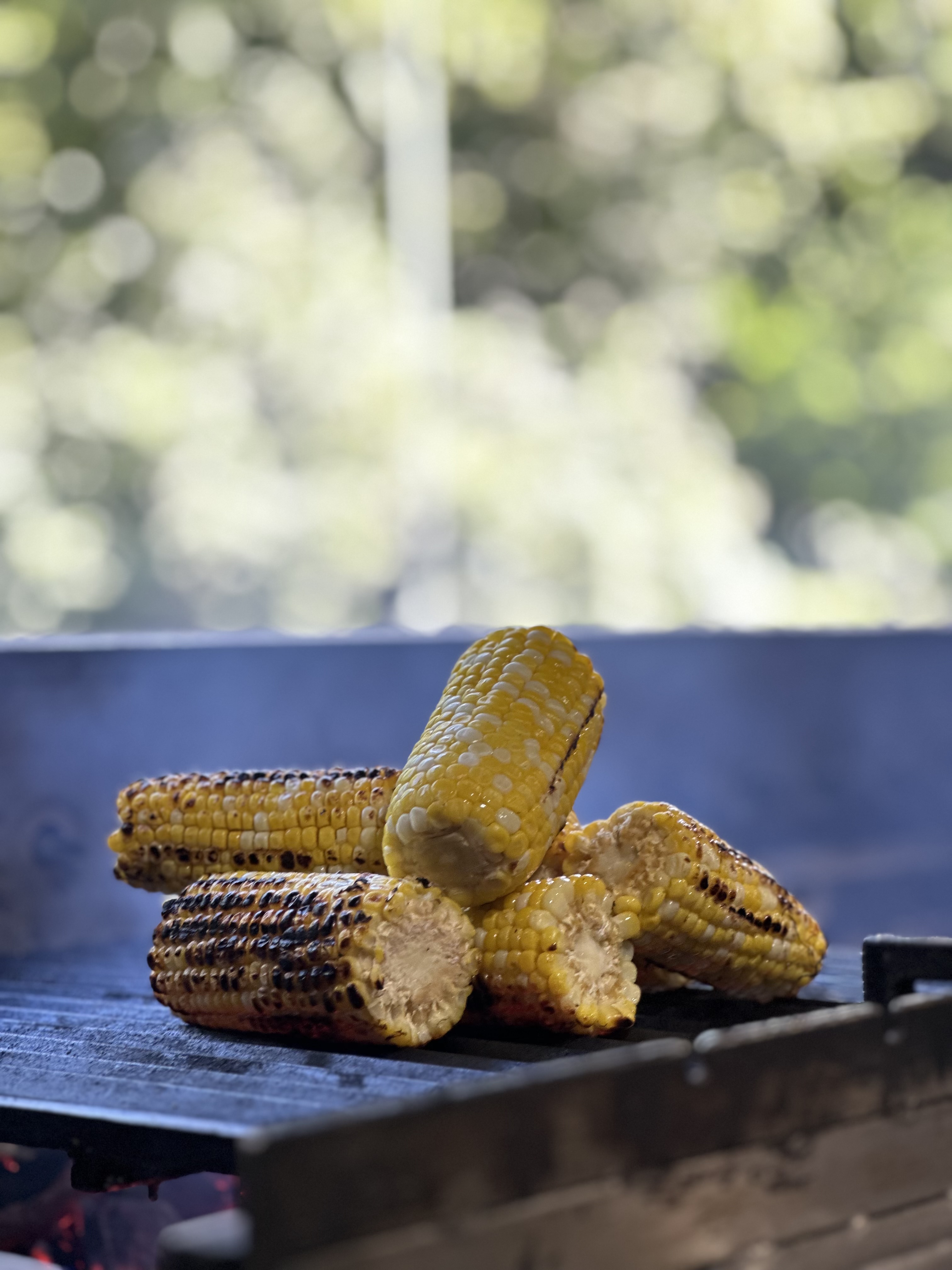 Z Ranku Do Nochi image 6