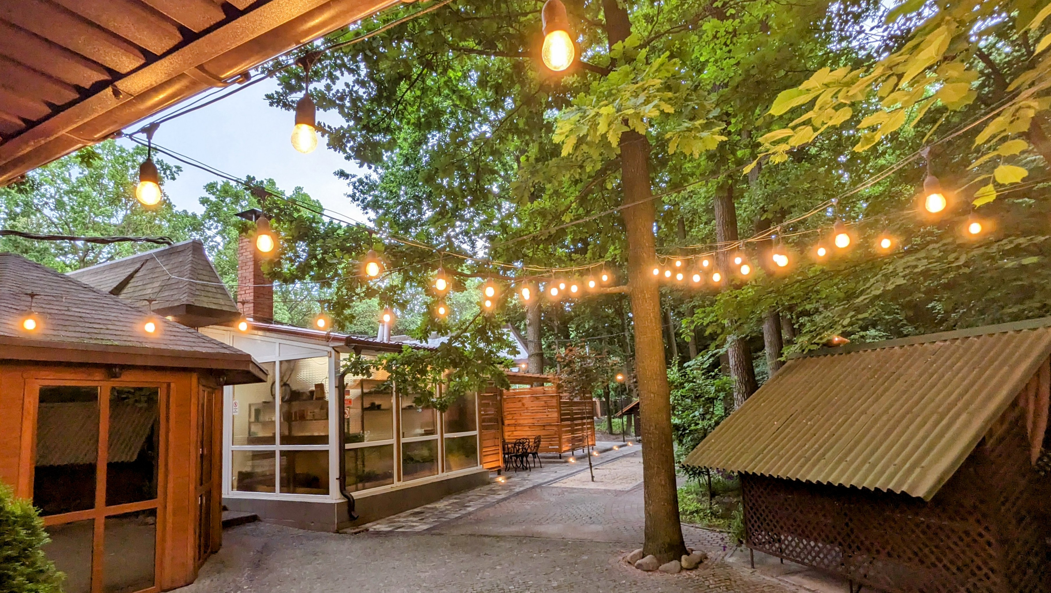 Z Ranku Do Nochi image 7