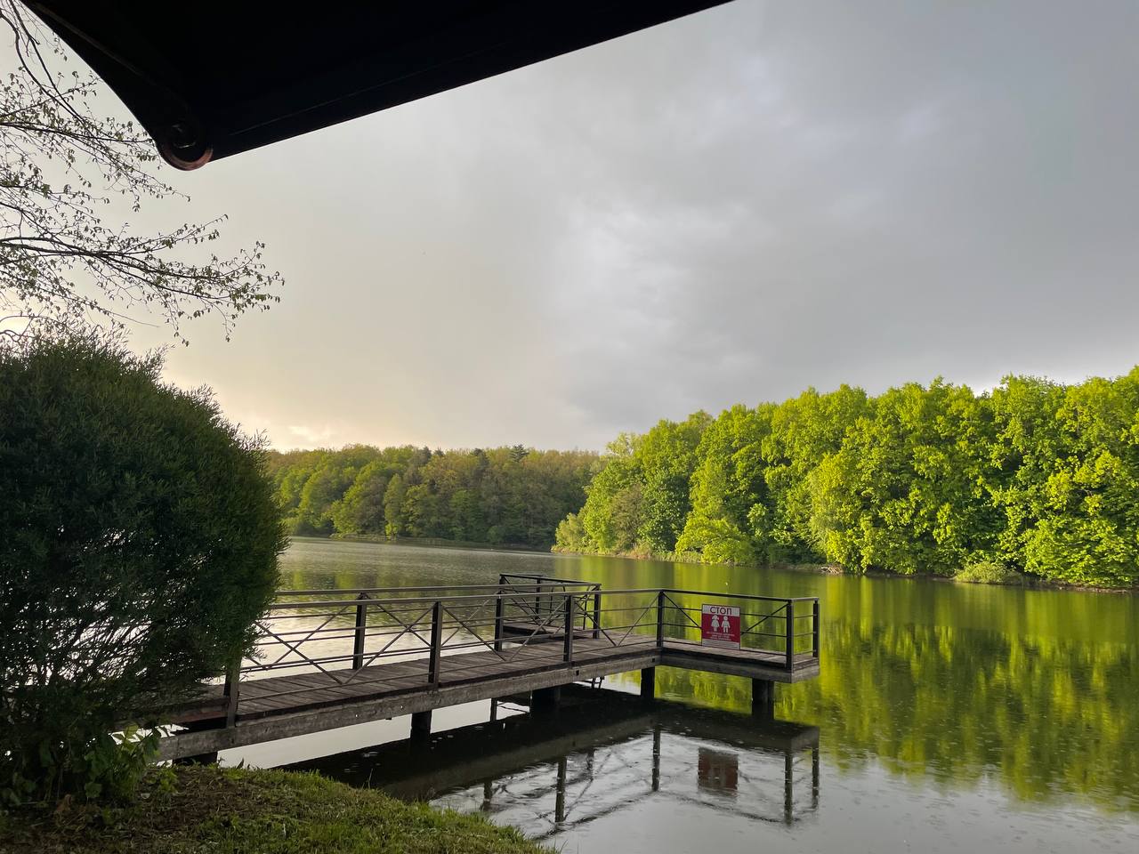 БОЖЕДАР image 14