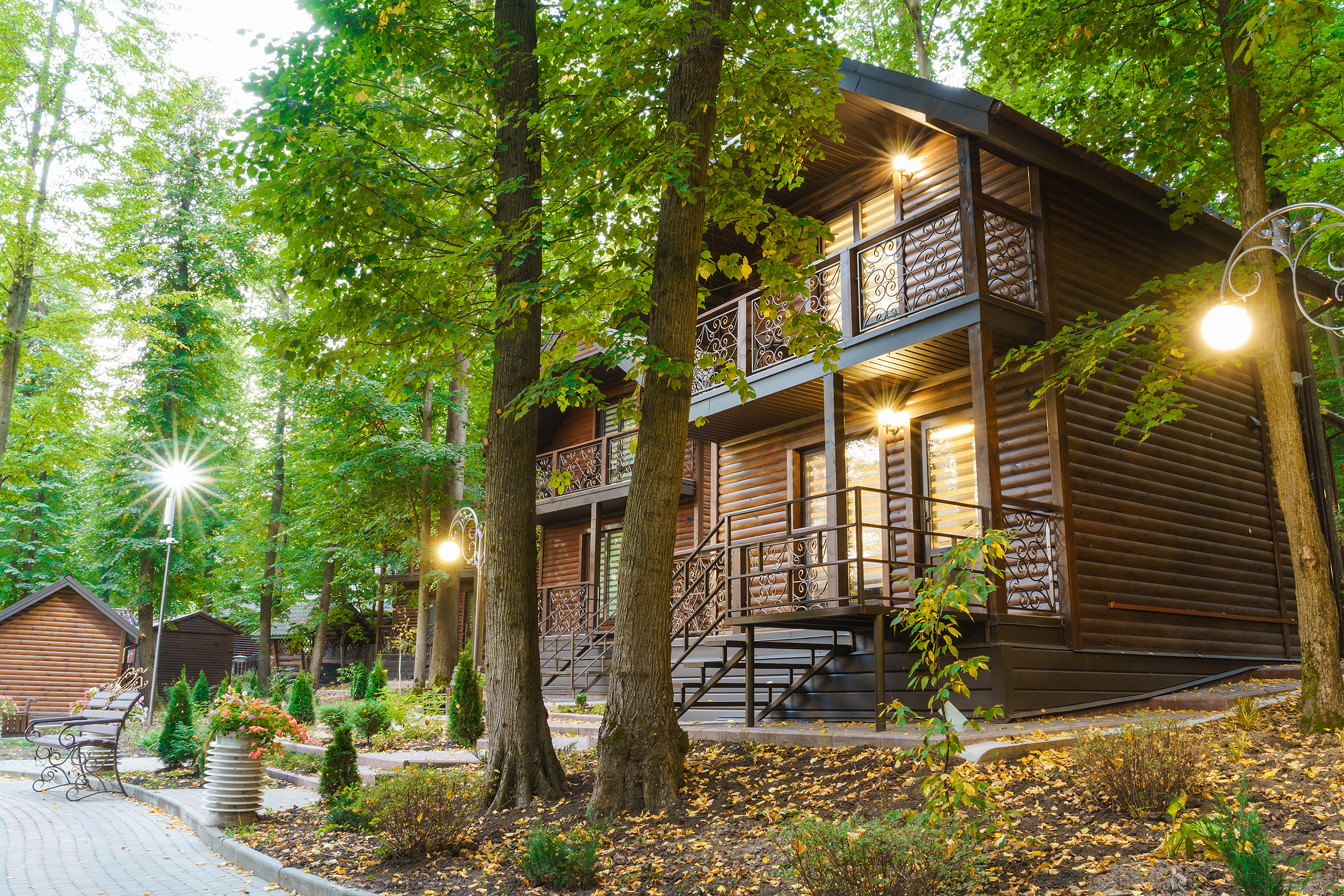 БОЖЕДАР image 15