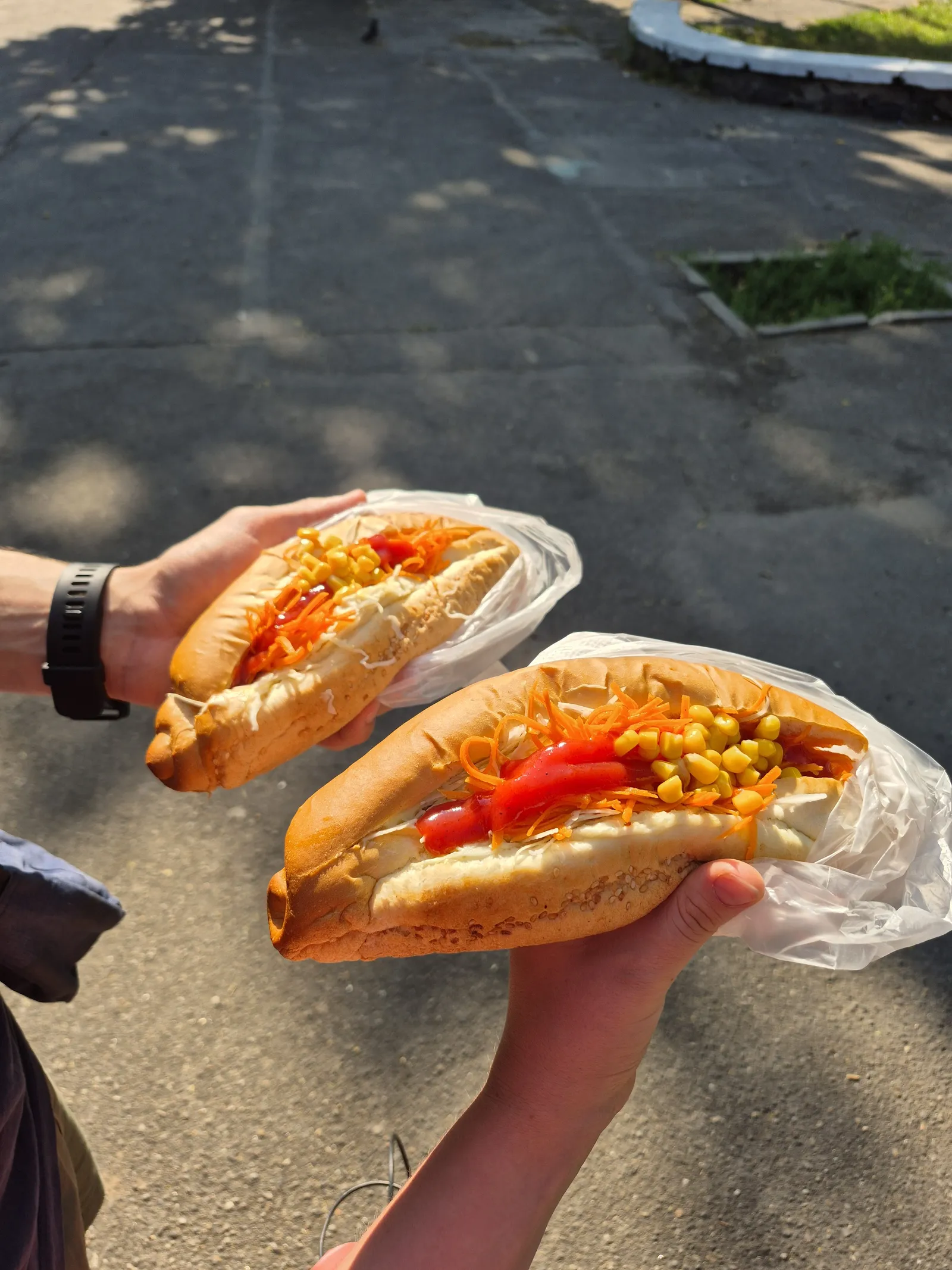 Hot Dog image 6